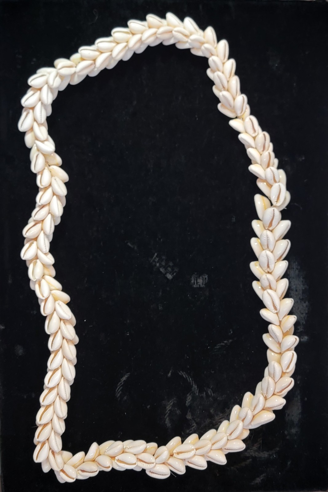 Vintage HAWAIIAN Pikake Style Cowrie Shell Lei 19