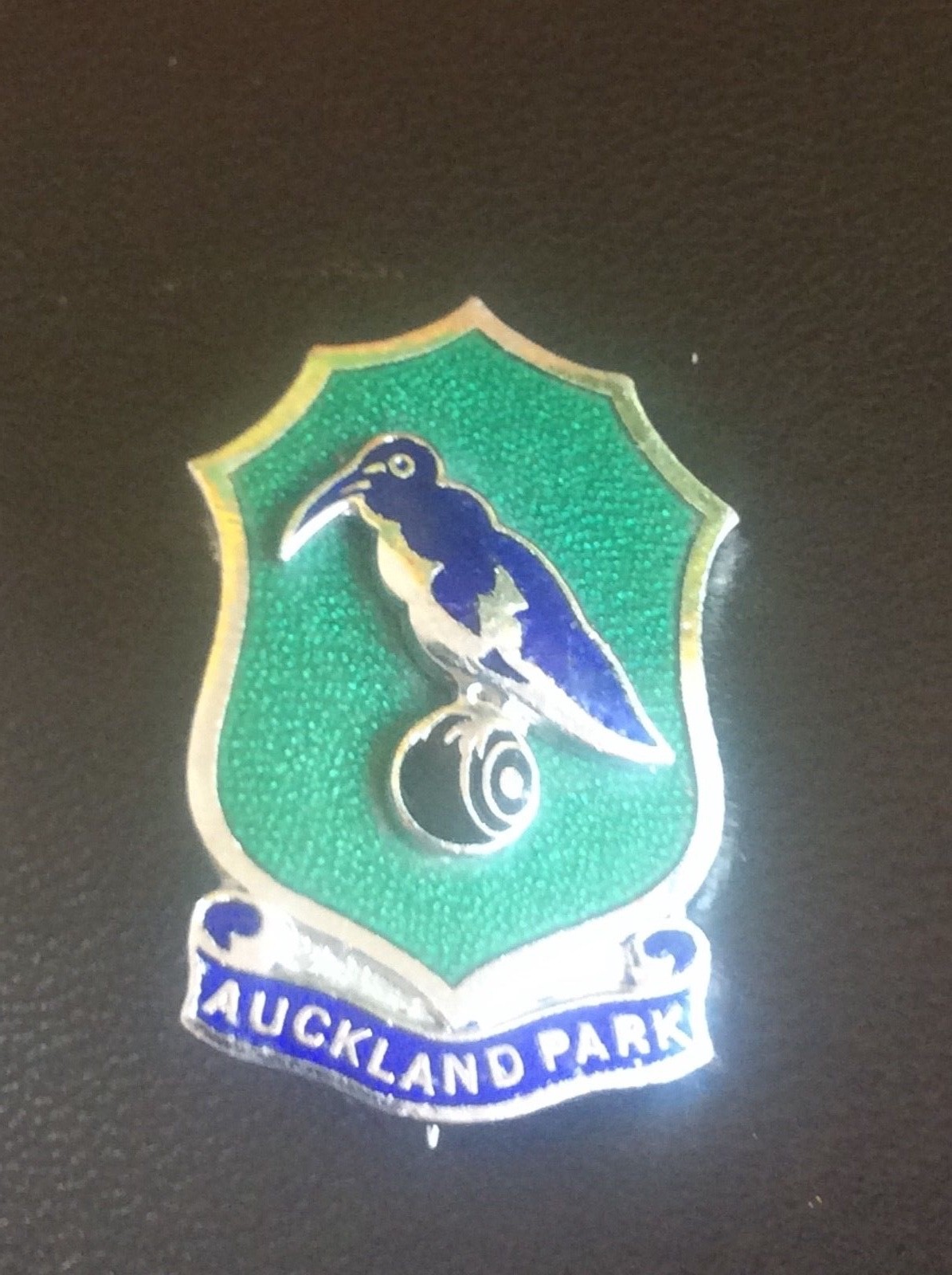 RARE Vintage Enamel Badge Lapel Pin AUCKLAND PARK Gauteng South African Pretoria