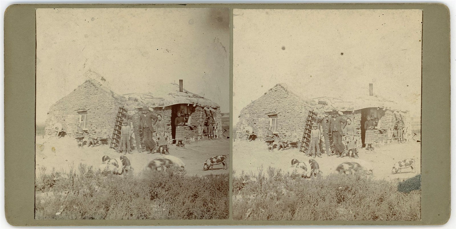 KANSAS STEREOVIEW - Abilene - Sod Home & Family Farm - 1880s/90s VERY RARE