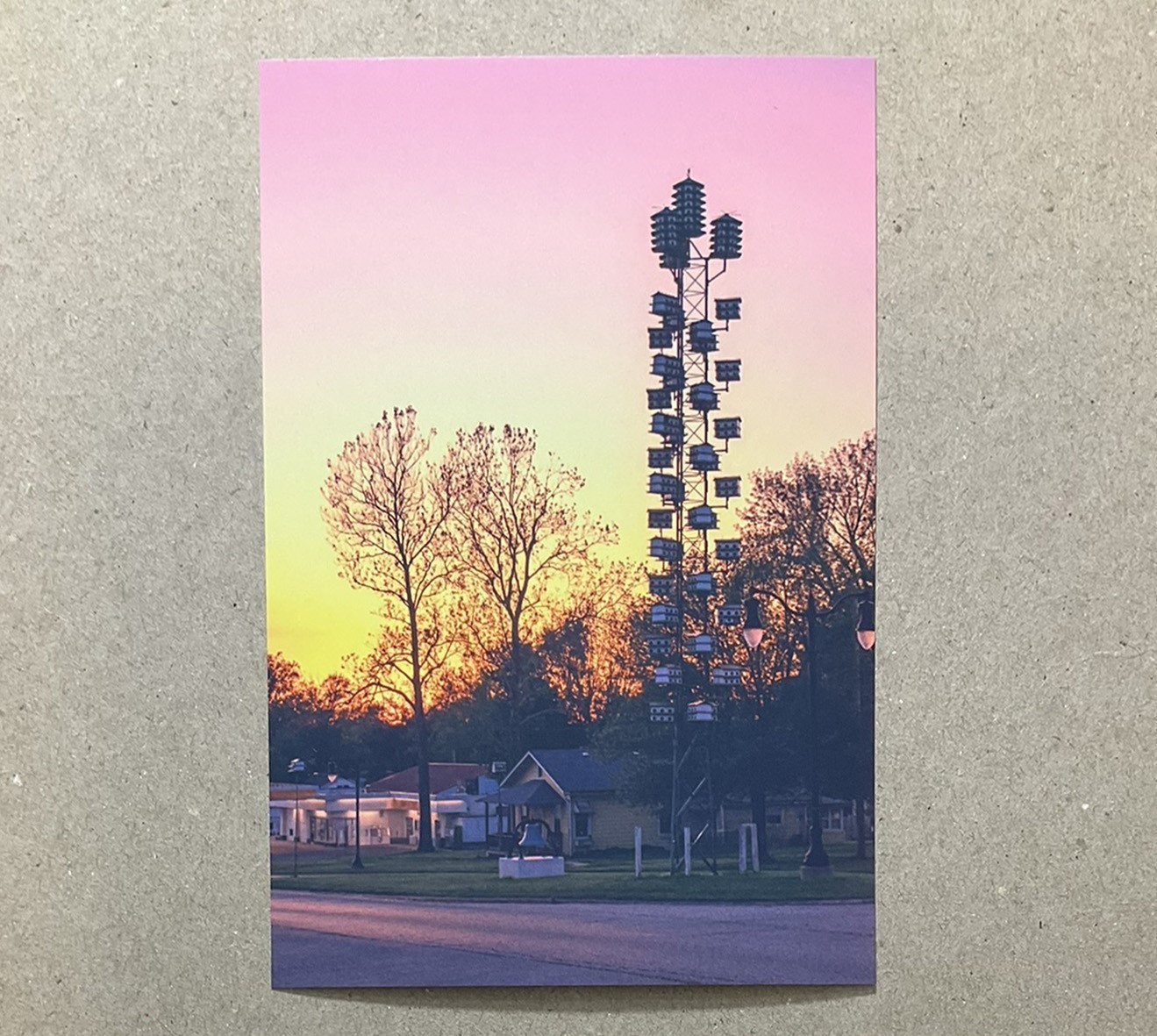 New postcard 4x6 Purple Martin Housing Griggsville Illinois