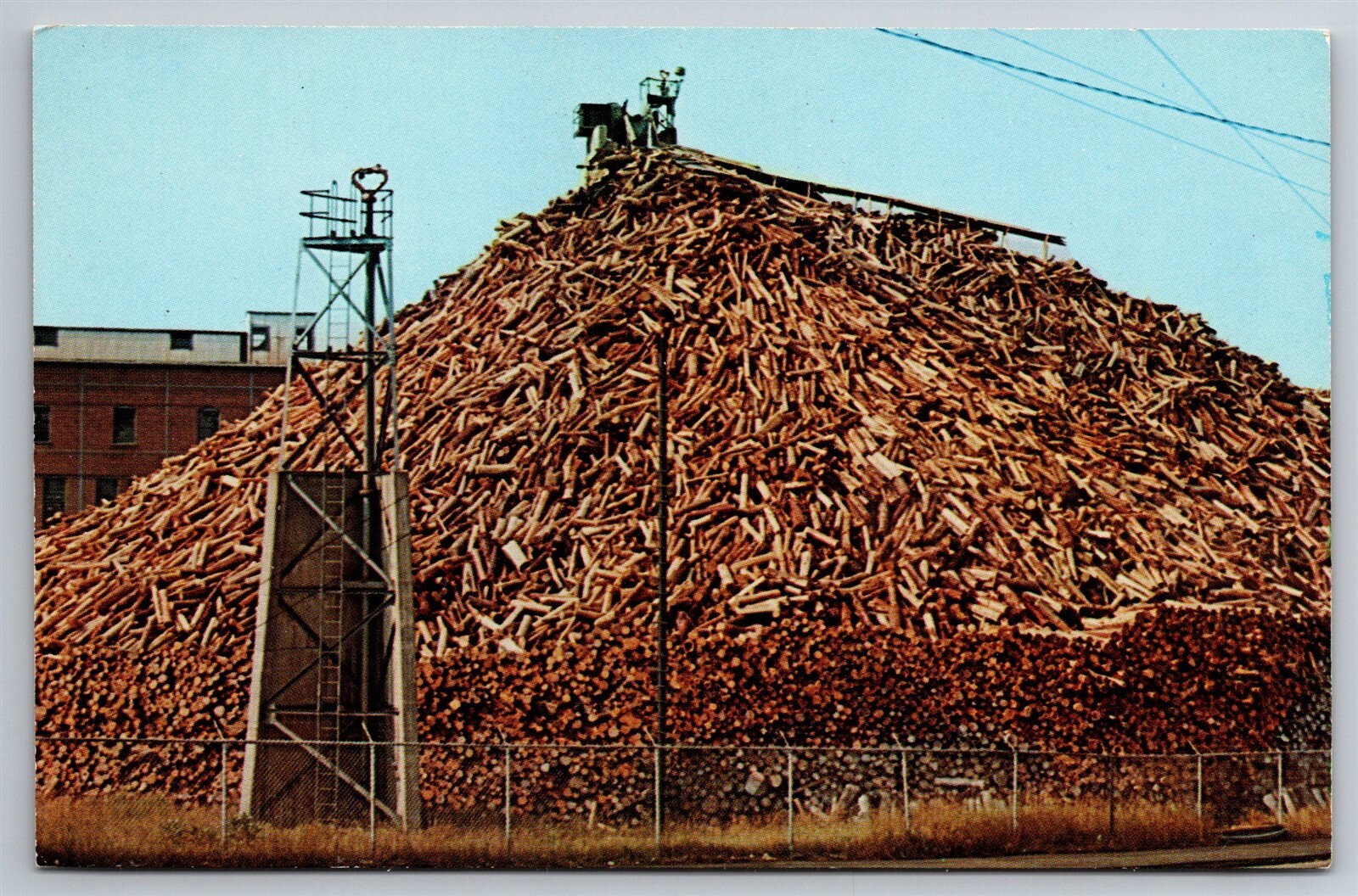 Pulpwood Pile Paper Manufacturing Maine Postcard C1960 G20