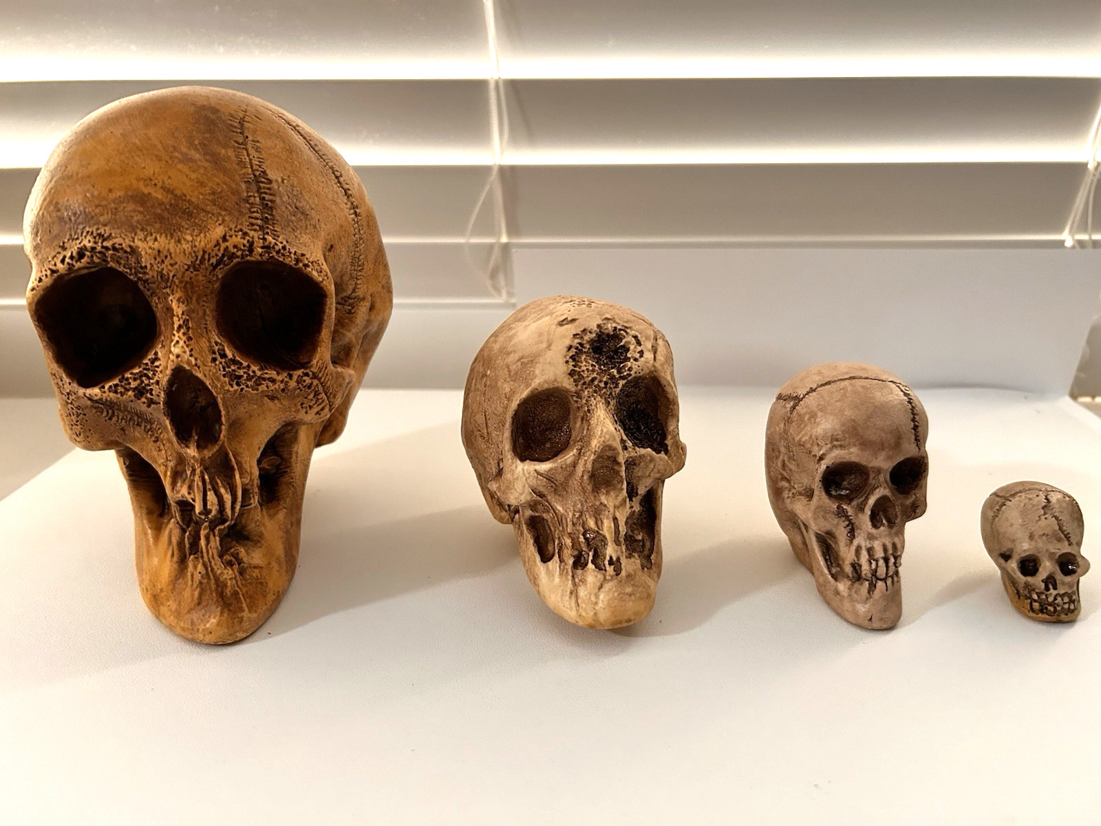 4 EA. RANDOTTI ORIGINAL SKULLS..... LARGE, VOO DOO, PIXIE & SMALL ROUND HEAD