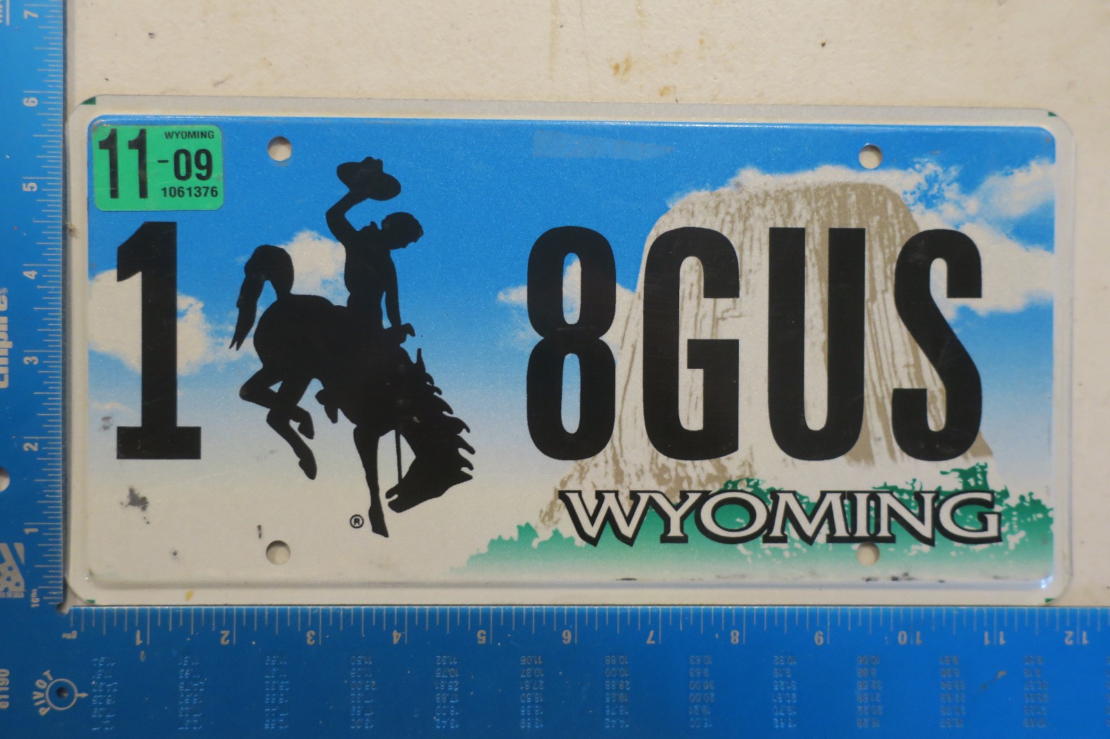 Wyoming Vanity License Plate WY NAME GUS Gustas Bucking Bronco