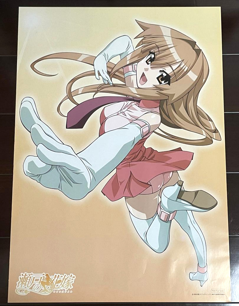 My Bride is a Mermaid double-sided poster MiJ