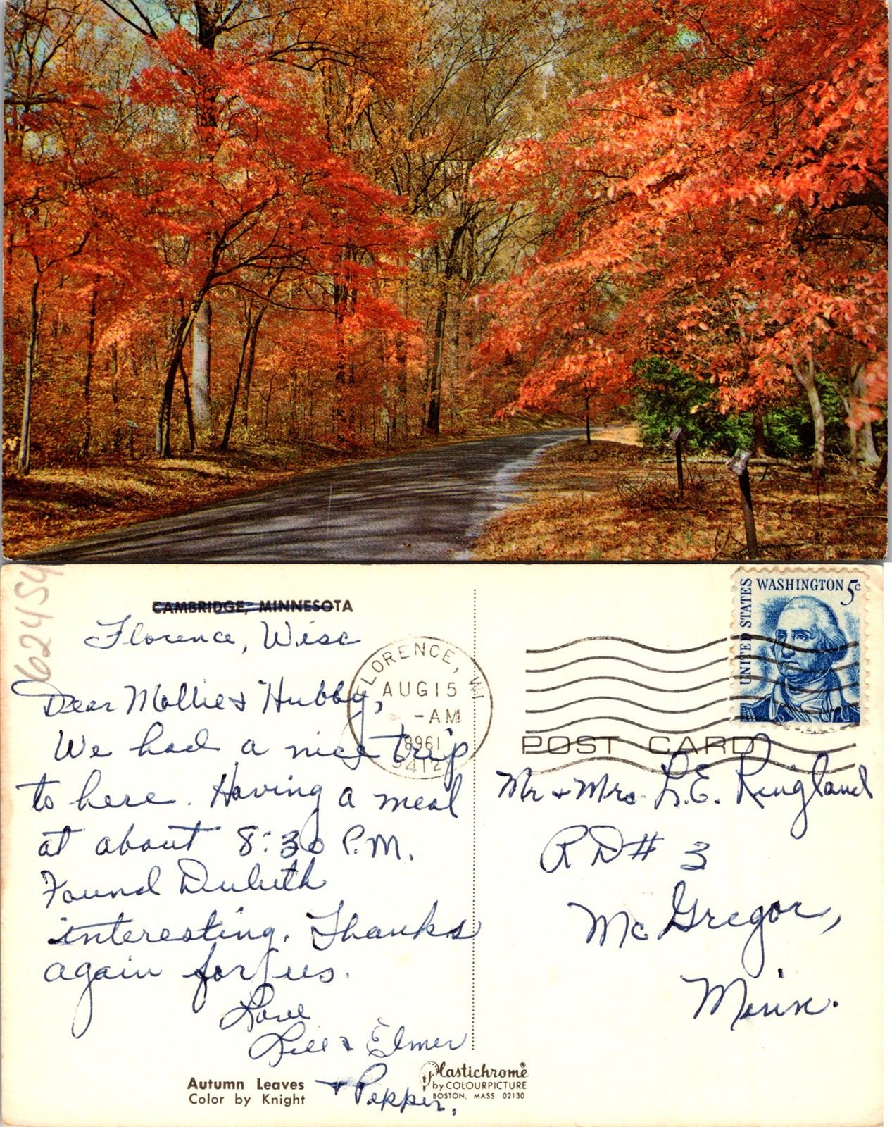 Cambridge MN Autumn Leaves Postcard 62454