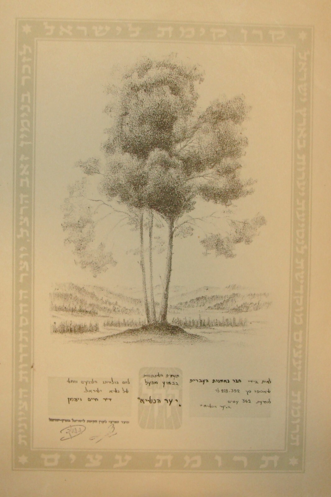 Pol National Fund Jewish 1949 Israel President Weizmann Forest Certificate Herzl