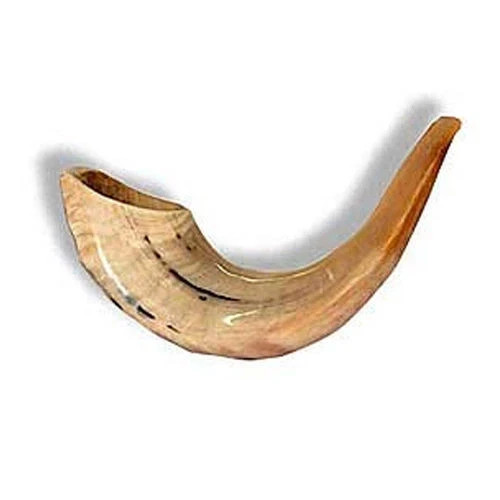 Shofar Kosher Ram's Horn From ISRAEL 7