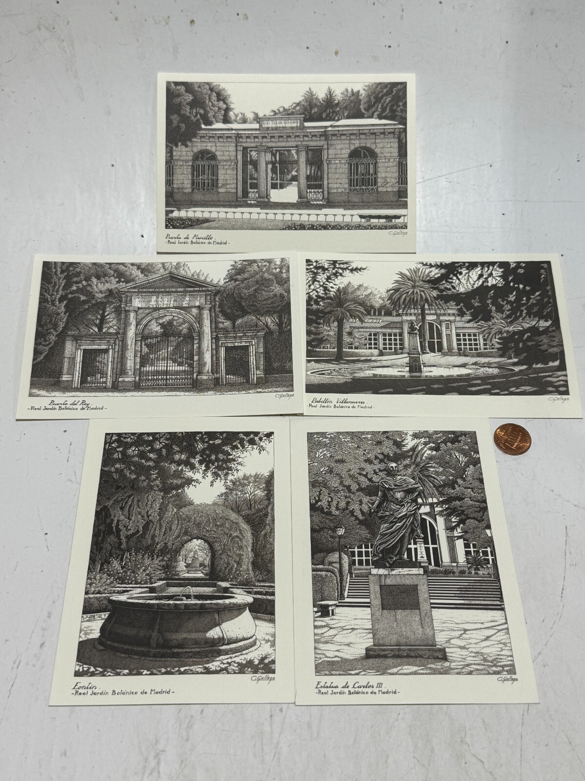 Lot Of 5 - Real Jardín Botánico de Madrid - C. Gallego Black & White Postcards