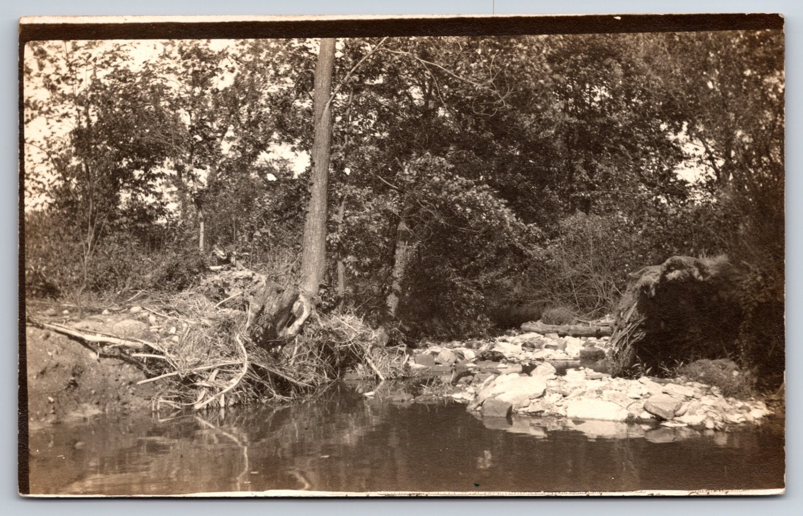 Bolivar Ohio Stream Trees Rocks Real Photo RPPC