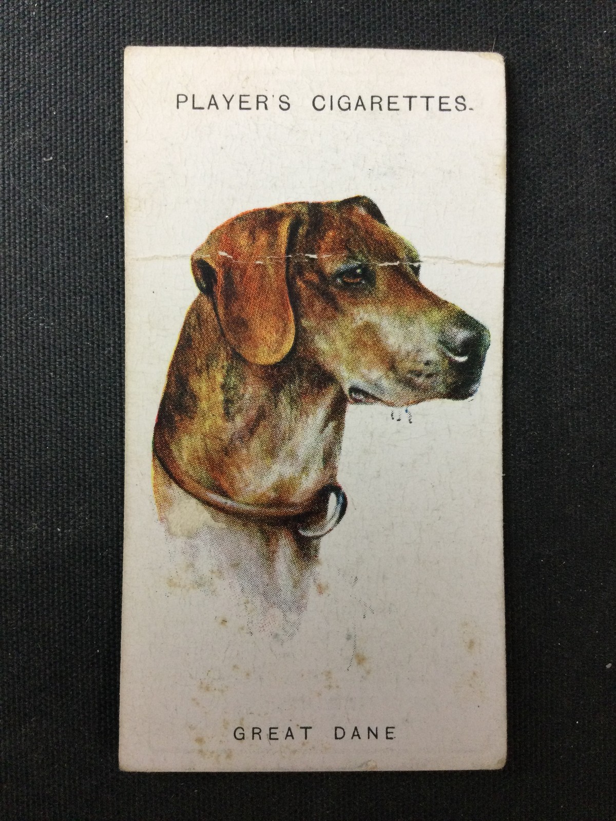 1931 Player\'s Dogs\' Head (A. Wardle Paintings) #15 Great Dane