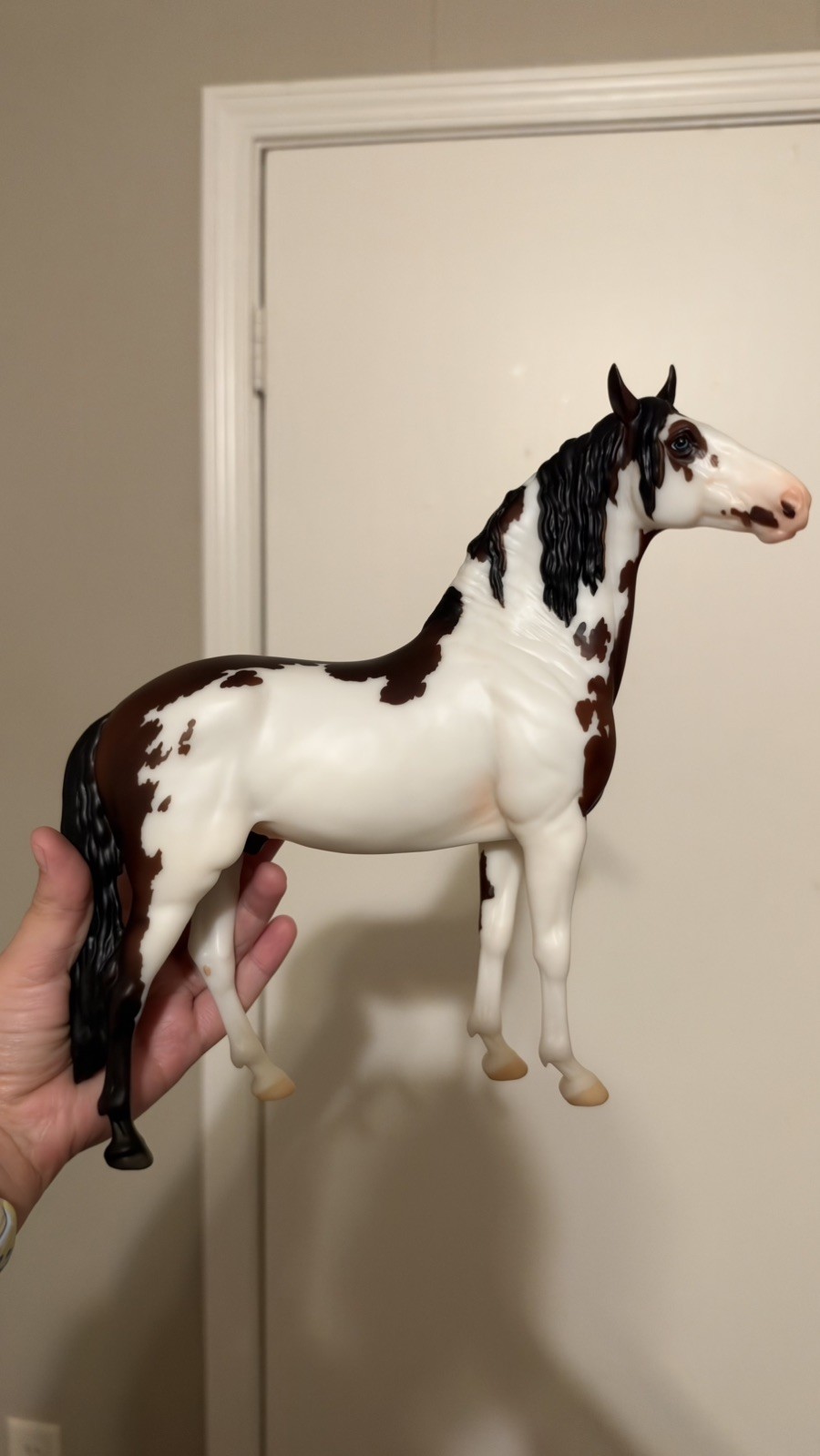 Breyer Traditional Breyerfest 2026 SR Midnattssol Matte Bay Pinto Cosimo