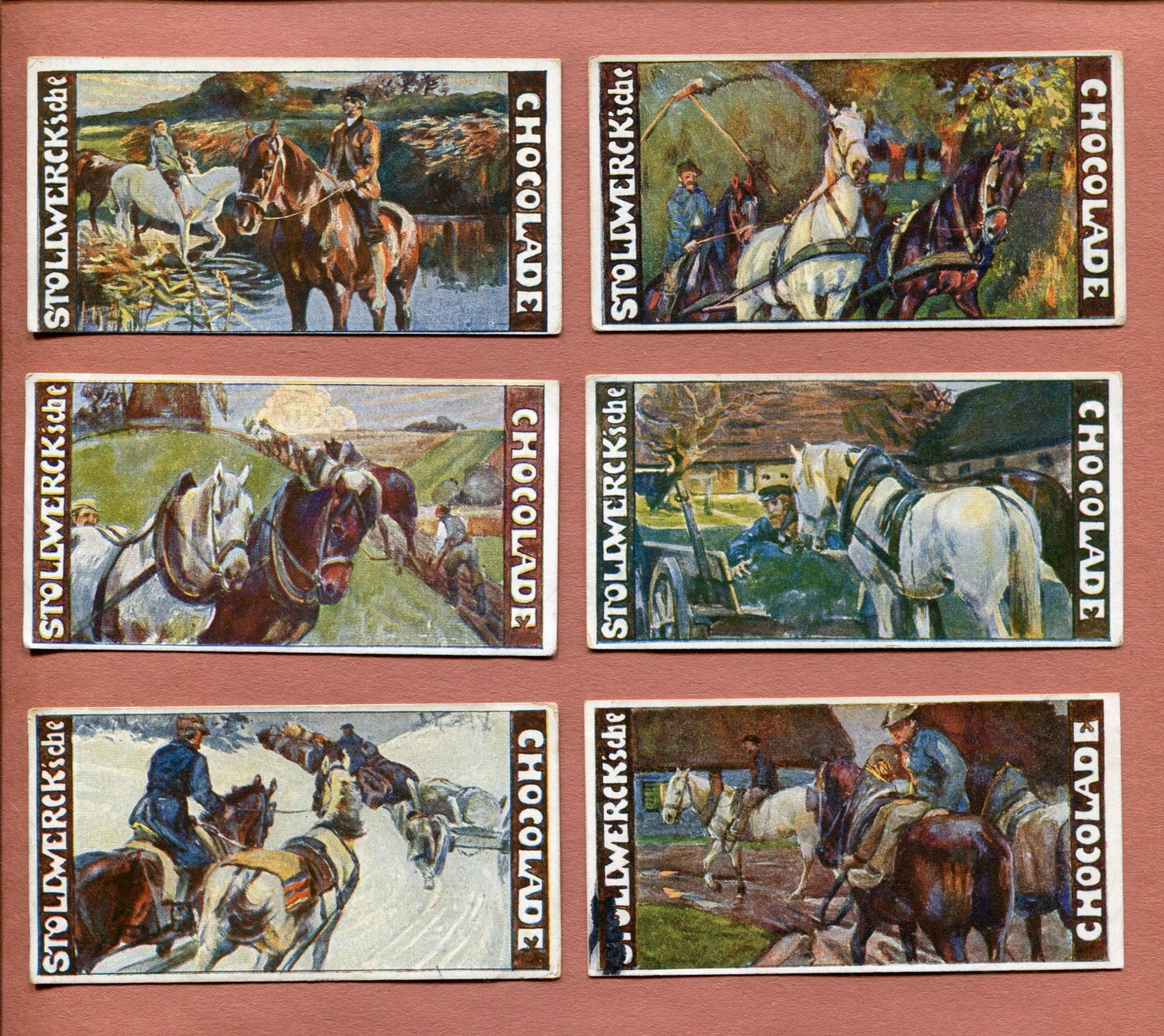 1900 STOLLWERCK'S CHOCOLADE VICTORIAN HORSES BILD 6 DIFFERENT TOBACCO CARD LOT