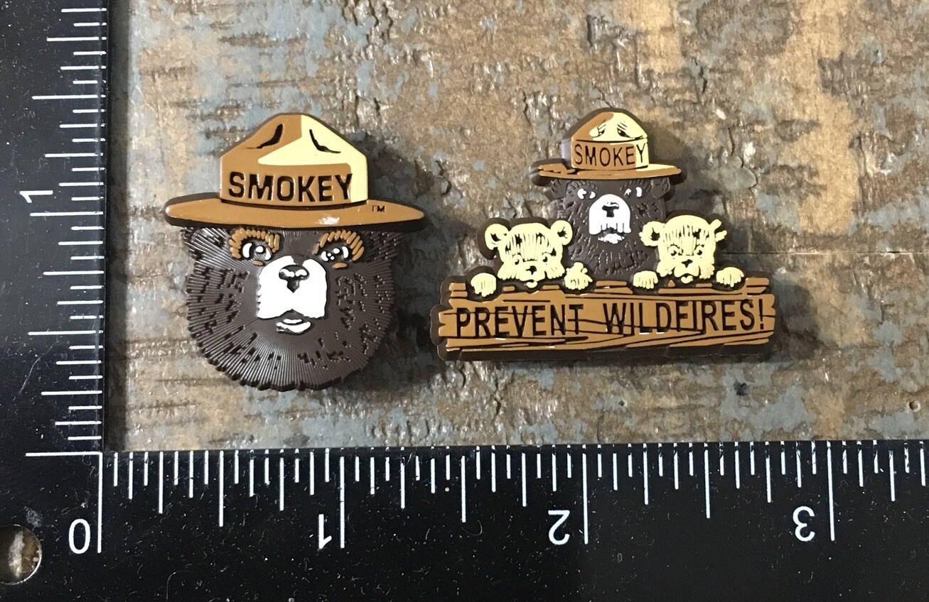 Vintage Pin Set Of SMOKEY THE BEAR Prevent Wildfires Lapel Hat Pins Plastic