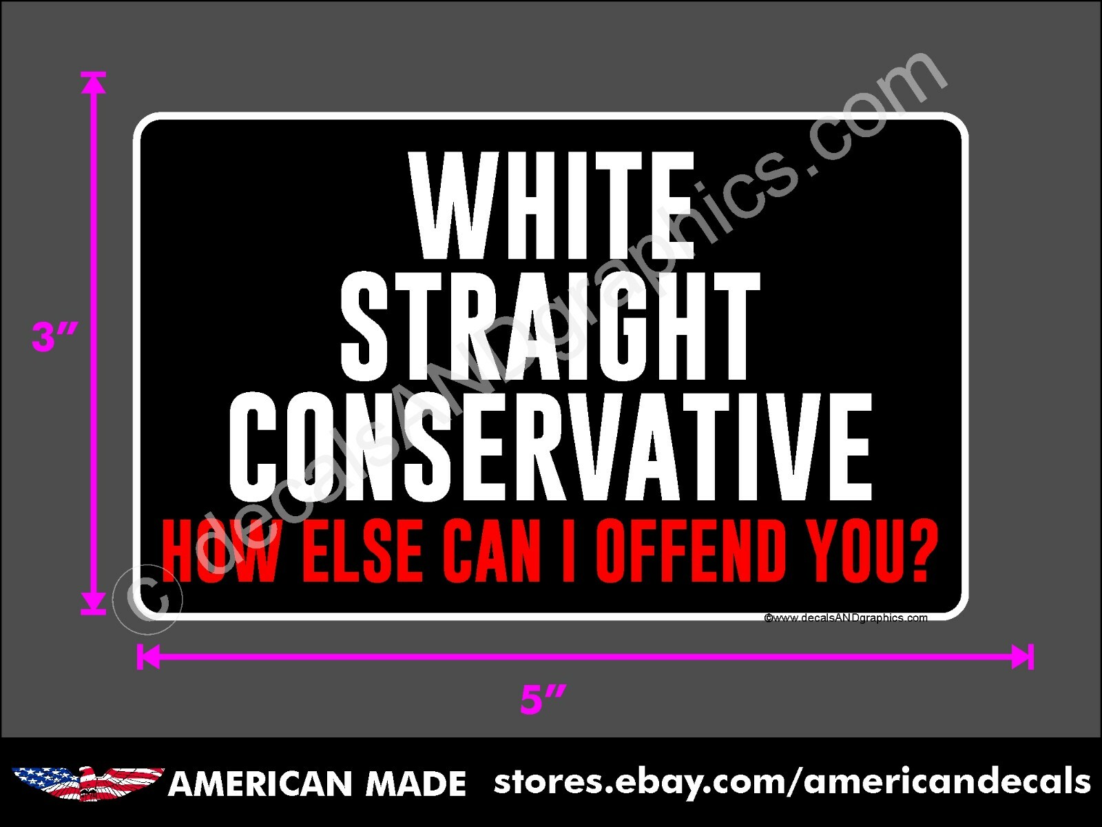 TRUMP 2024 STICKER WHITE STRAIGHT CONSERVATIVE ANTI DEMOCRAT DECAL WINDOW 