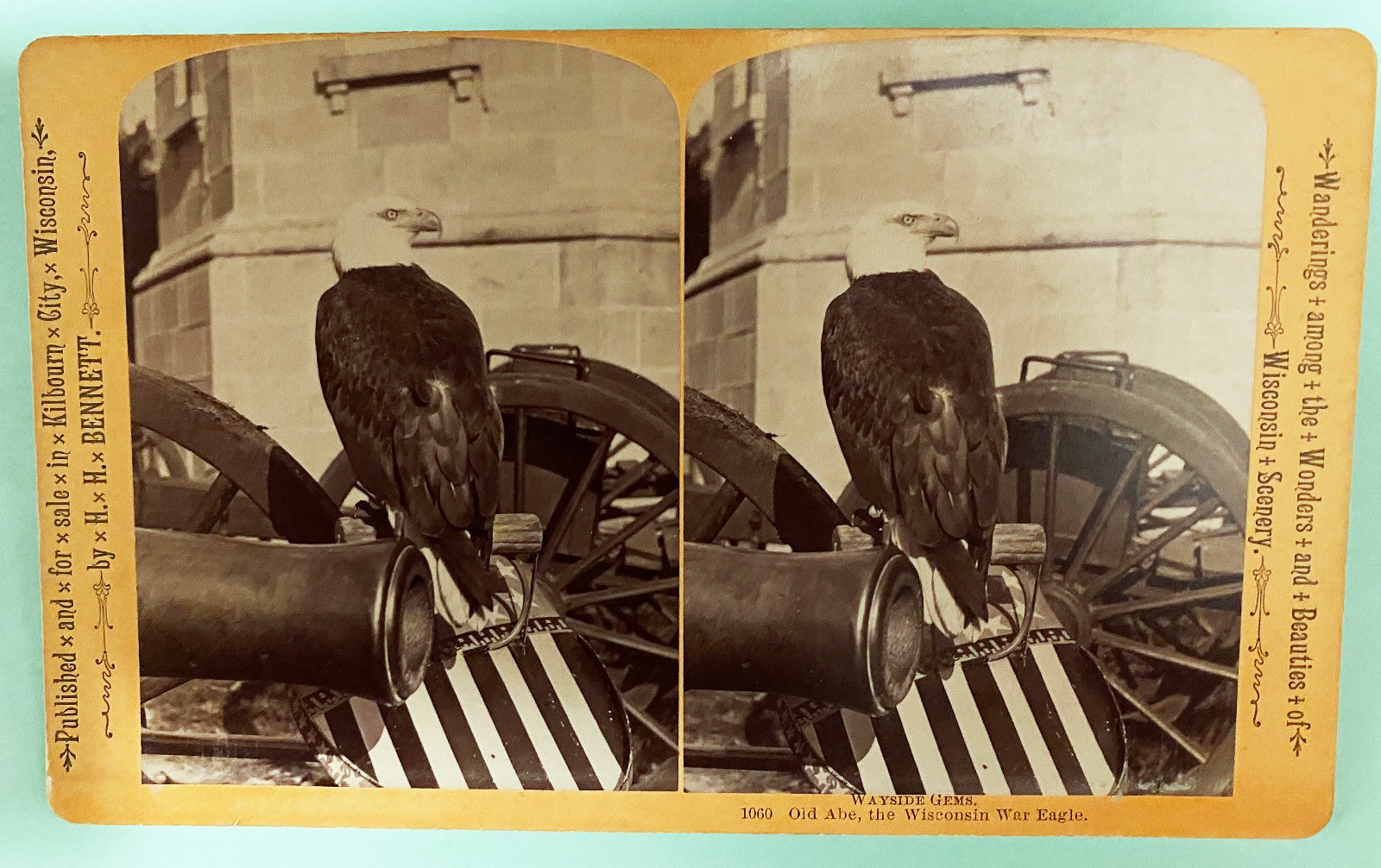 RARE 1876 OLD ABE Civil War Bald Eagle WISCONSIN Stereoview Photo 101st Airborne