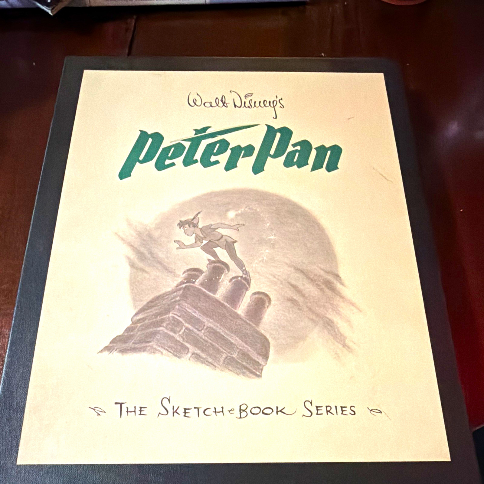 Disney Peter Pan Sketchbook Series Collector's Edition w/ COA Ltd 2300 No 488