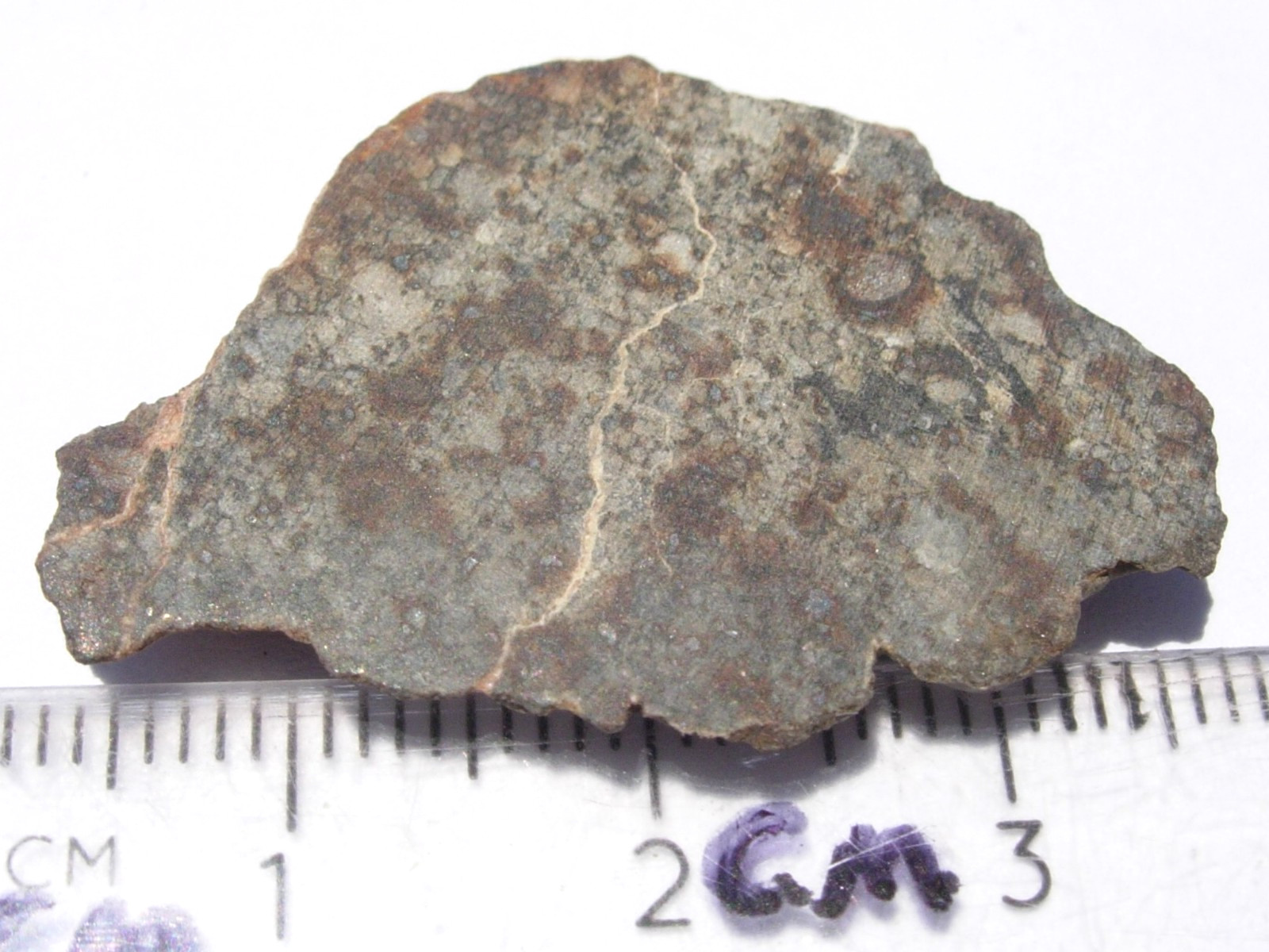 5.20 grams NWA 7197 Meteorite ( class L3.8 ) slice Northwest Africa with COA