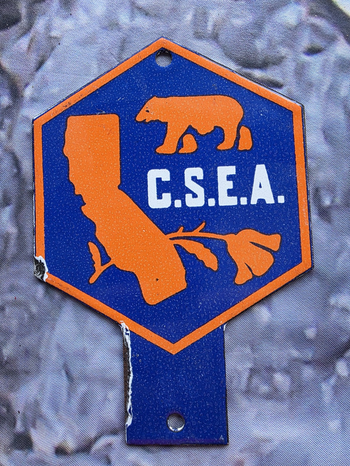 VINTAGE C S E A LICENSE PLATE TOPPER 6