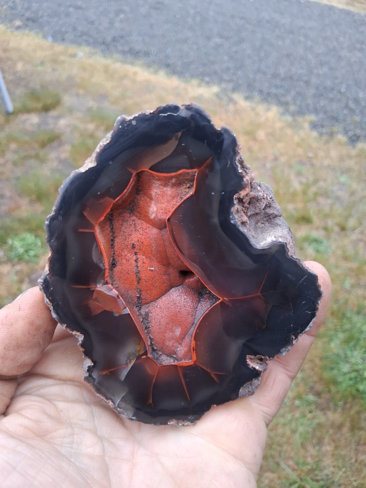 Red Fox Crater Agate Polished Specimen Argentina 1lb +/-