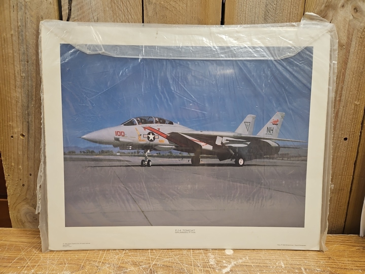 F-14 Tomcat Grumman F-14A #100 VTG Print Power Graphics NOS 20”x16” Rare HTF