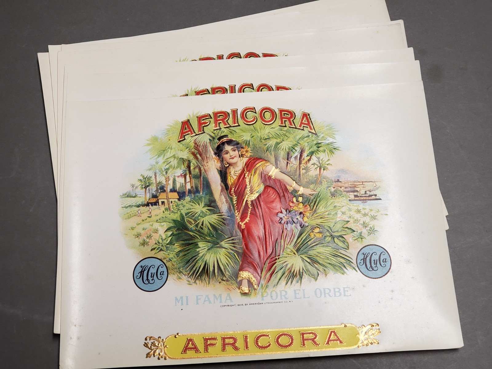 Vtg Lot of 10 1905 Cigar Box Labels - AFRICORA - Embossed 8 1/2