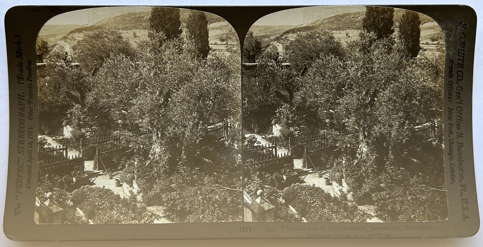 Jerusalem The Garden of Gethsemane 1901 Vintage Stereo Photo P81L9n24