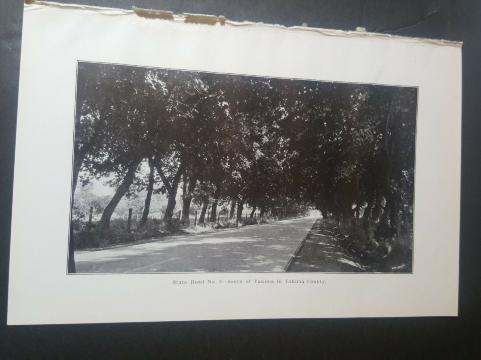 1924 photo plate new paved tree lined state road 3 south of Yakima Washington
