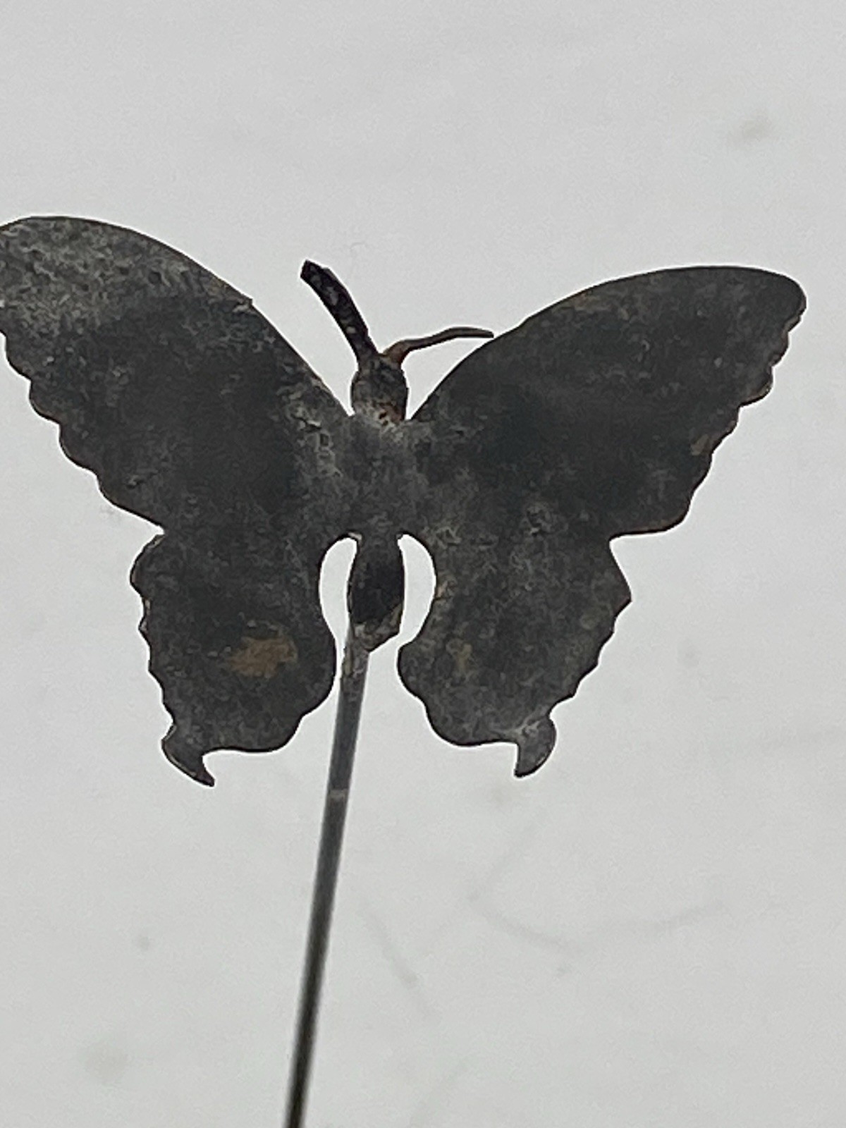 FABULOUS ANTIQUE BUTTERFLY HAT  PIN (487)