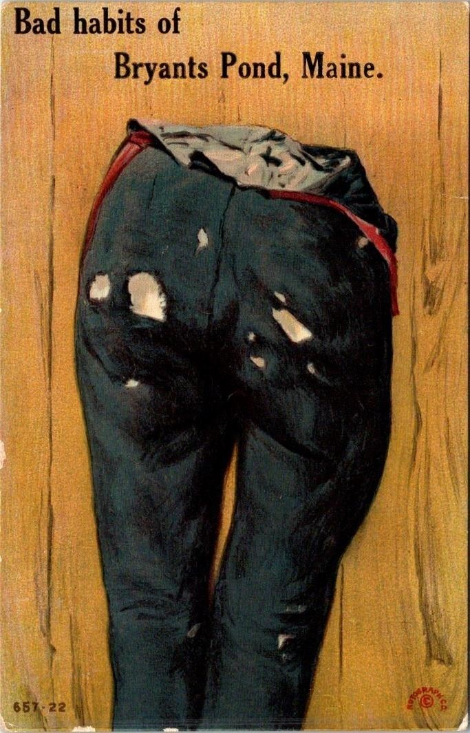 1912, Bad Habits of BRYANT POND, Maine Postcard - Rotograph Co.