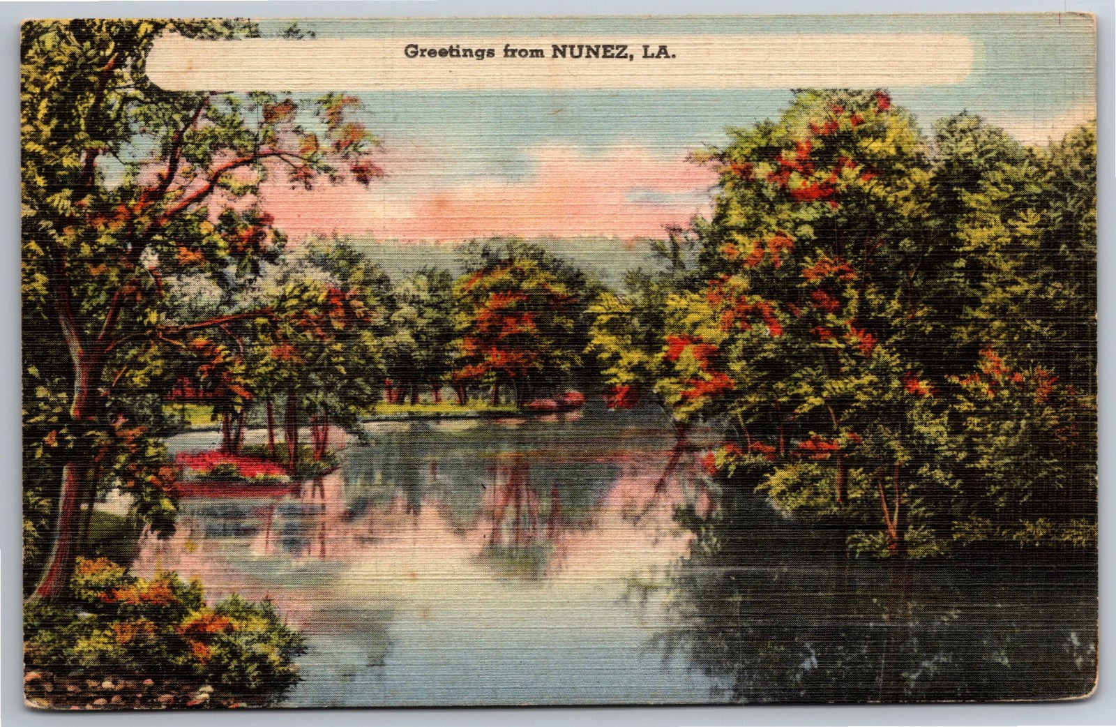 LA, Nunez, Greetings, Nature Scene, Trees, Water, Vintage Postcard