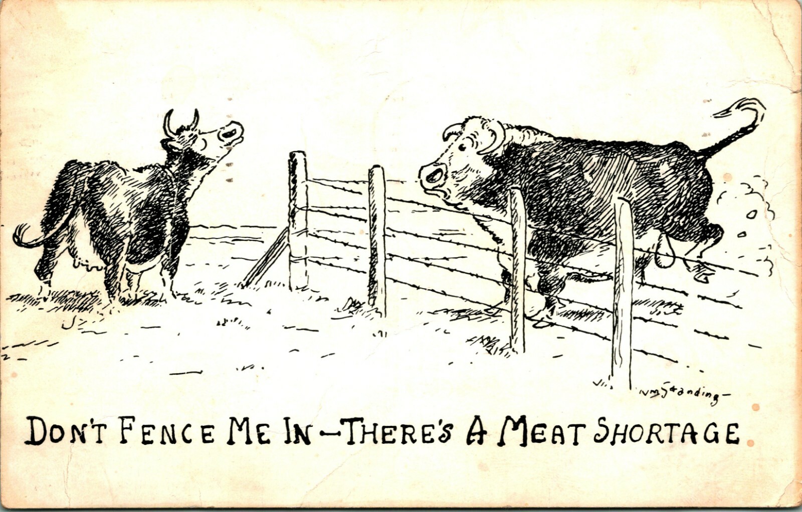 Wm William Standing Comic Cows There's A Meat Shortage 1951 Chrome Postcard 