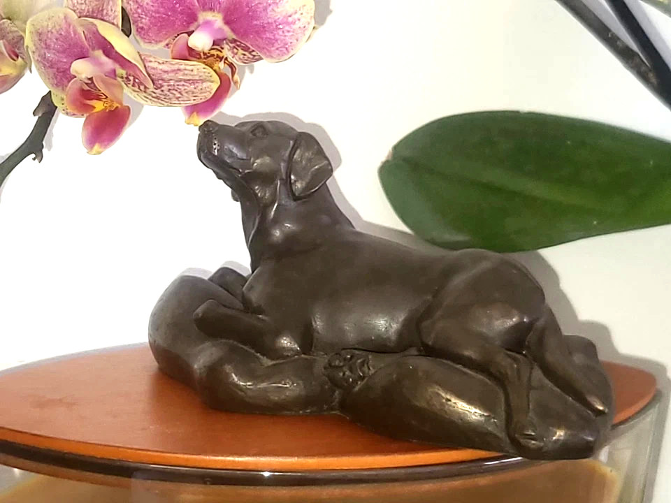 Vintage Bronzed Labrador Dog Figurine Reclining Lab Statue - 13.5cm L / 385g