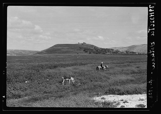 Photo:Dothan Alabama 1900s Ruins Northern Views Horse Riders Hillside
