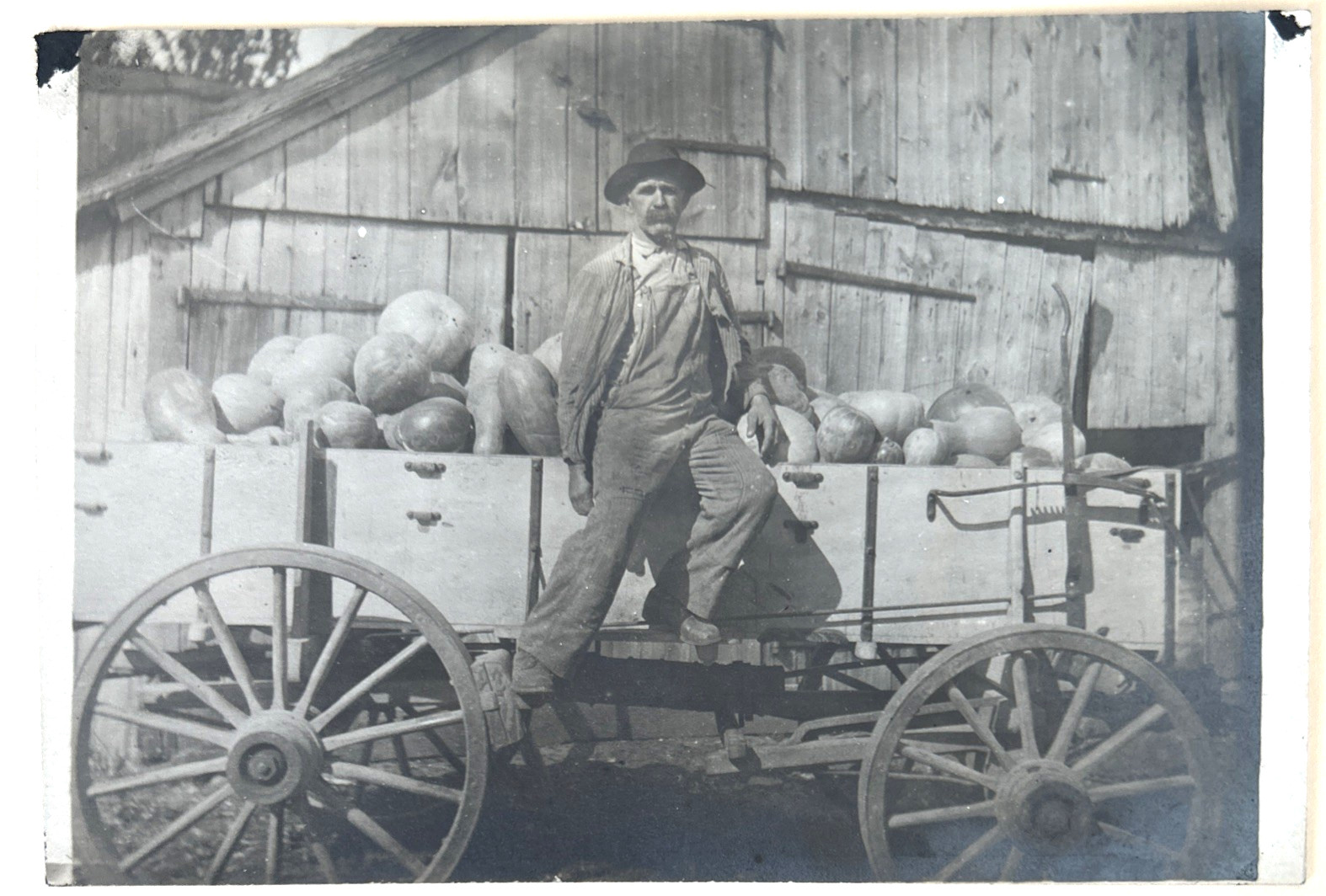 RPPC Farmer Overalls Wagon Full of Pumpkins c1900s Real Photo Postcard
