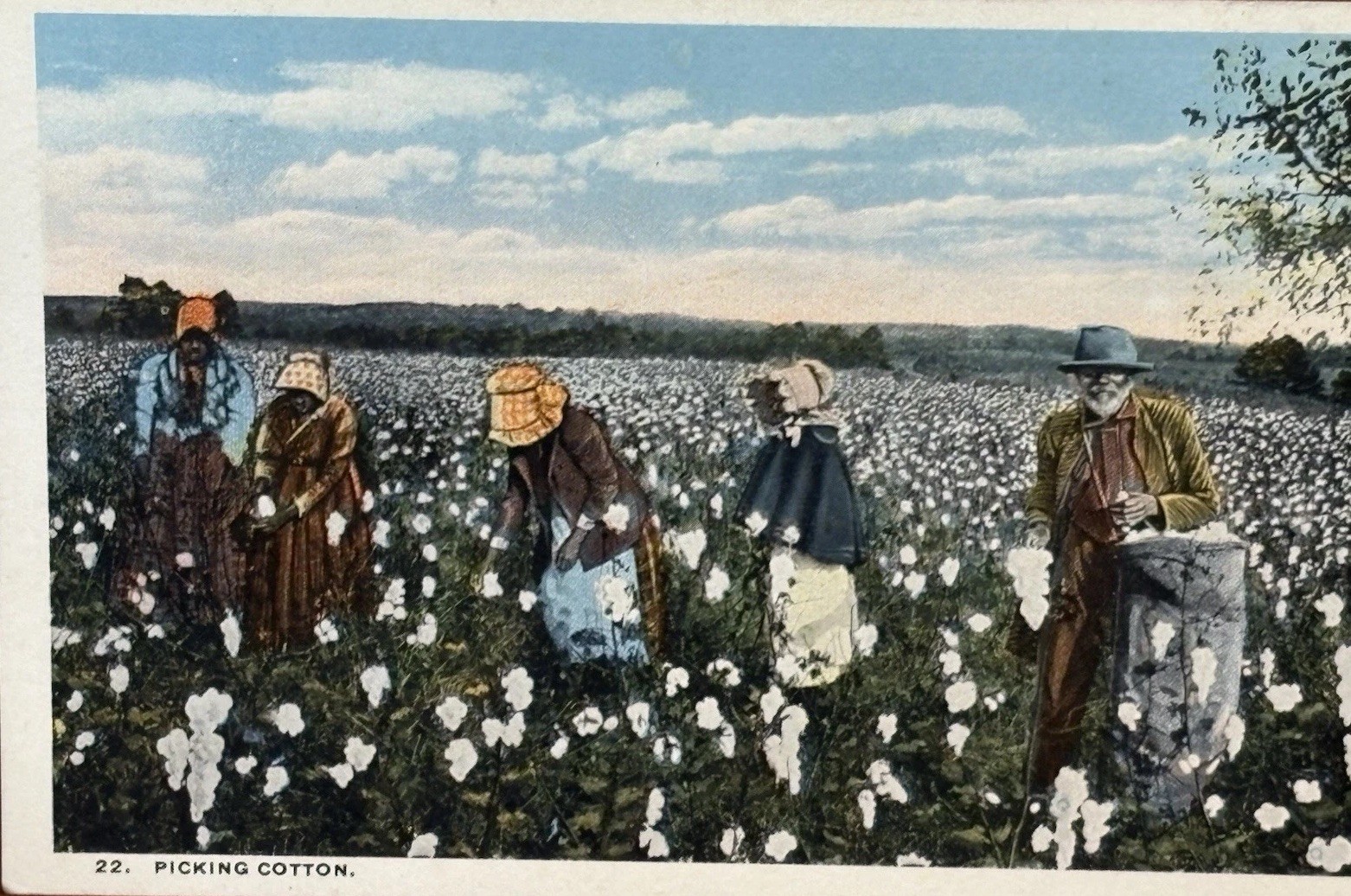 Original c. 1910s “Picking Cotton” African American Labor Curt Teich Postcard