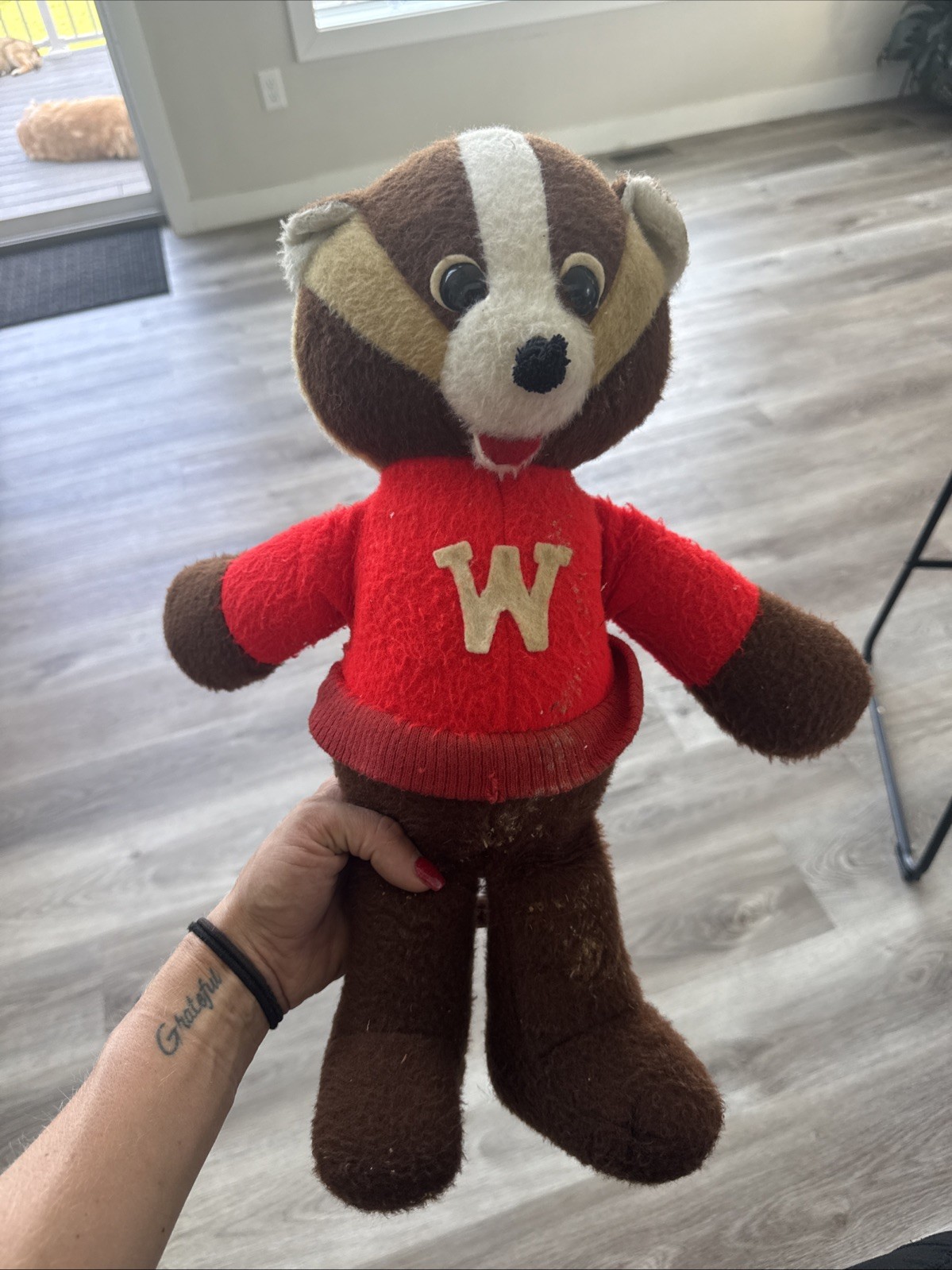 VTG.BUCKY BADGER, UNIV. WISCONSIN Great Condition Vintage VTG.BUCKY BADGER, UNIV. WISCONSIN Great Condition Vintage
