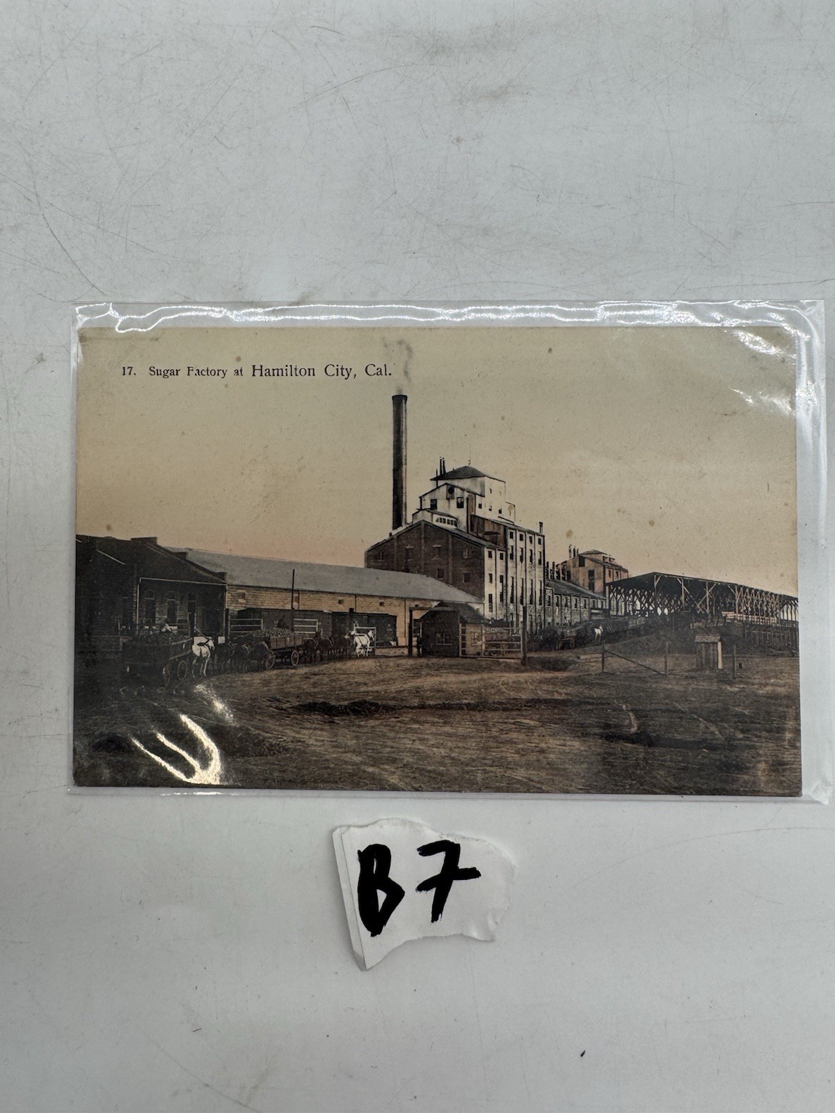 Sugar Factory at Hamilton City California Postcard J. Scheff & Bros