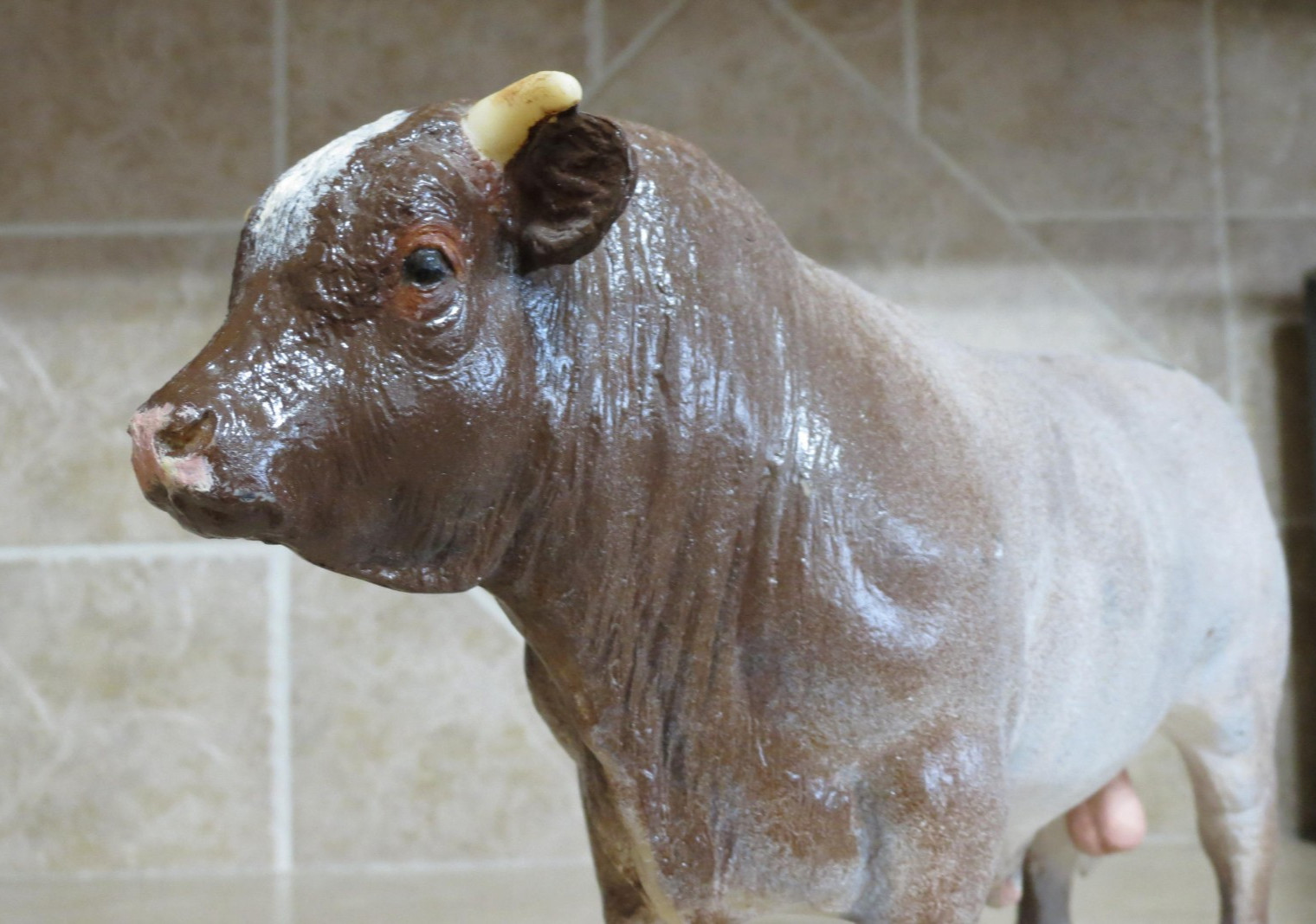 SUPER cool short horn Breyer bull custom on the Charolais mold cow farm vintage