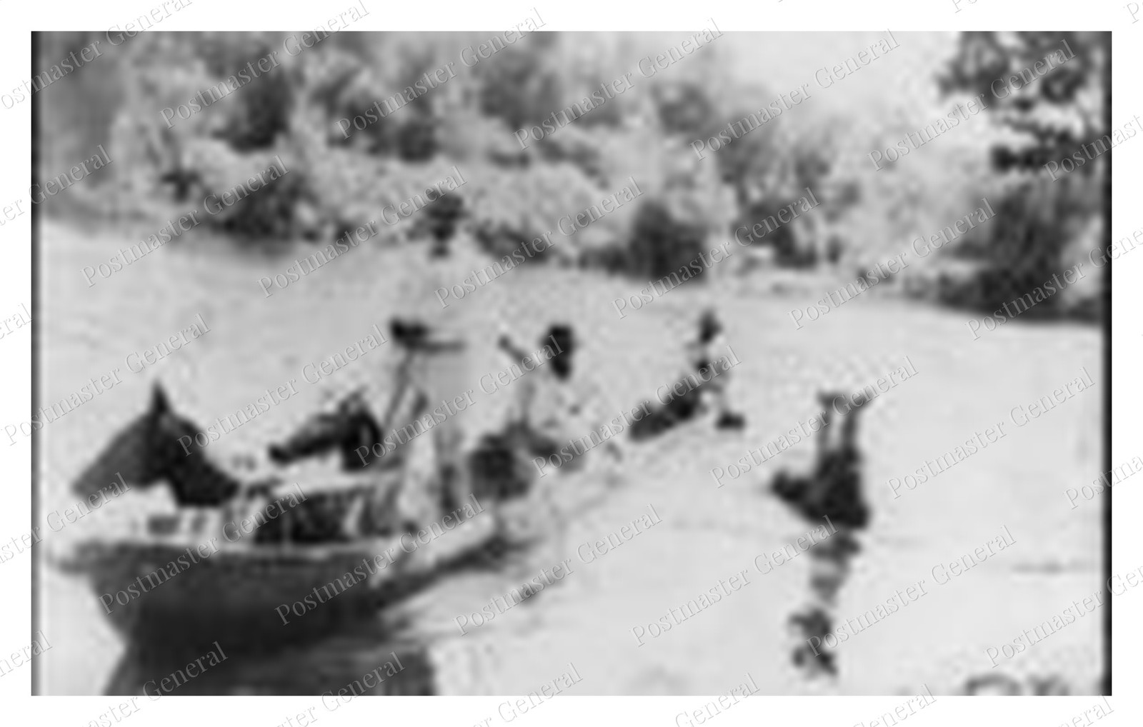 Isabella River Dominican Republic Horses Standard Postcard COPY RPPC