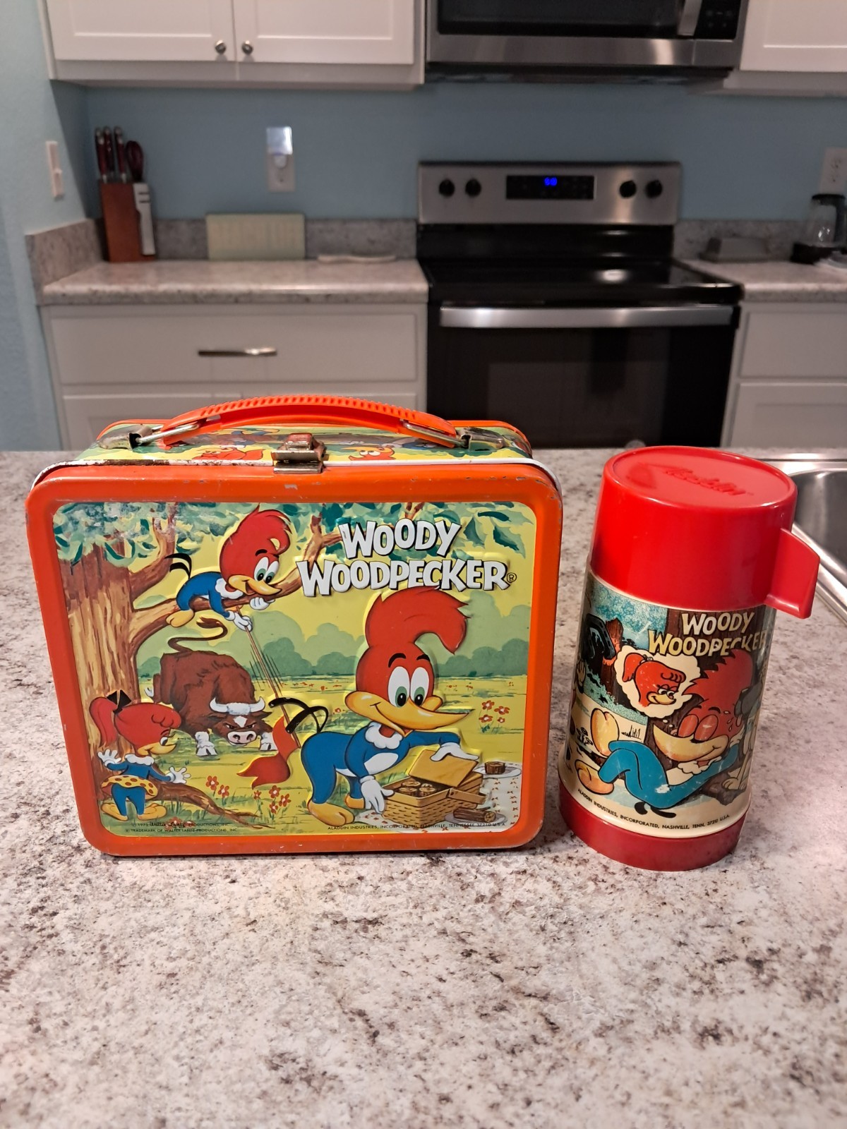 1972 Woody Woodpecker Lunch Box & Thermos * Vintage * Lunchbox kit * VERY GOOD * 1972 Woody Woodpecker Lunch Box & Thermos * Vintage * Lunchbox kit * VERY GOOD *