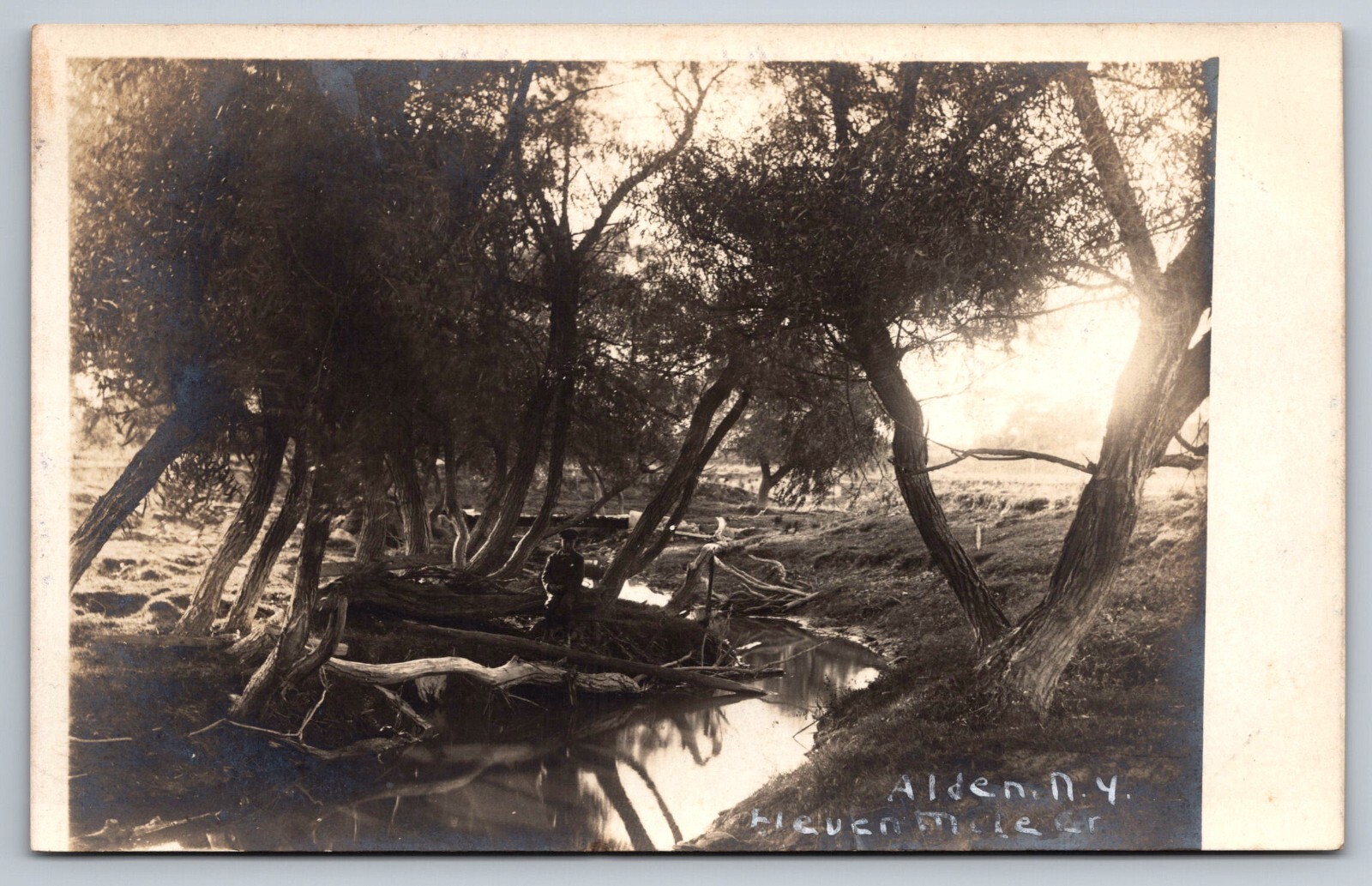 Alden NY Postcard RPPC Elevenmile Creek or Ellicott Creek c 1908