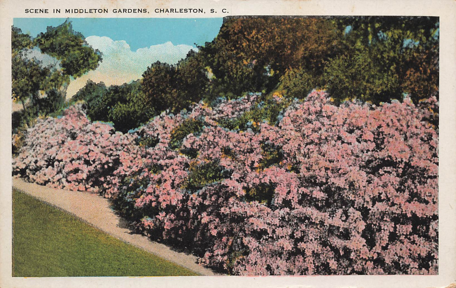MIDDLETON PLACE GARDENS POSTCARD CHARLESTON SC SOUTH CAROLINA 1920s