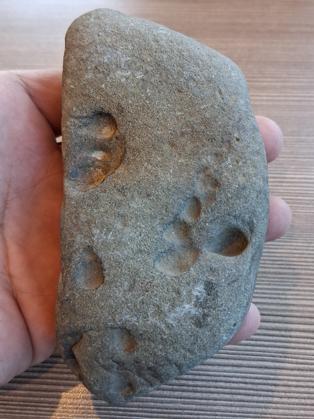 Sinew Stone Abrading Stone Museum Quality Indian Artifacts Pre Historic Sinew Stone Abrading Stone Museum Quality Indian Artifacts Pre Historic