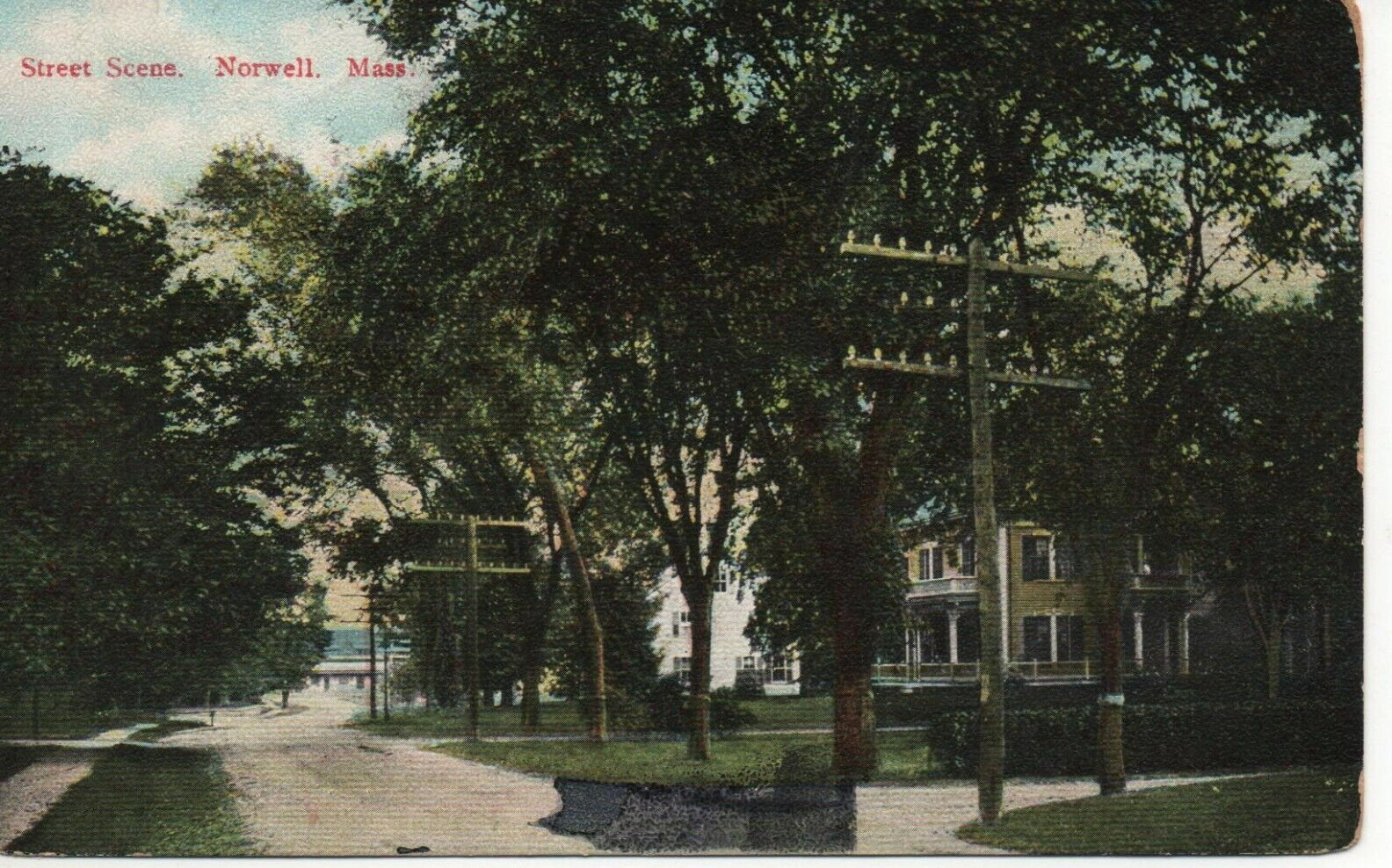 Postcard MA Norwell Massachusetts Street Scene 1910 Vintage  A12