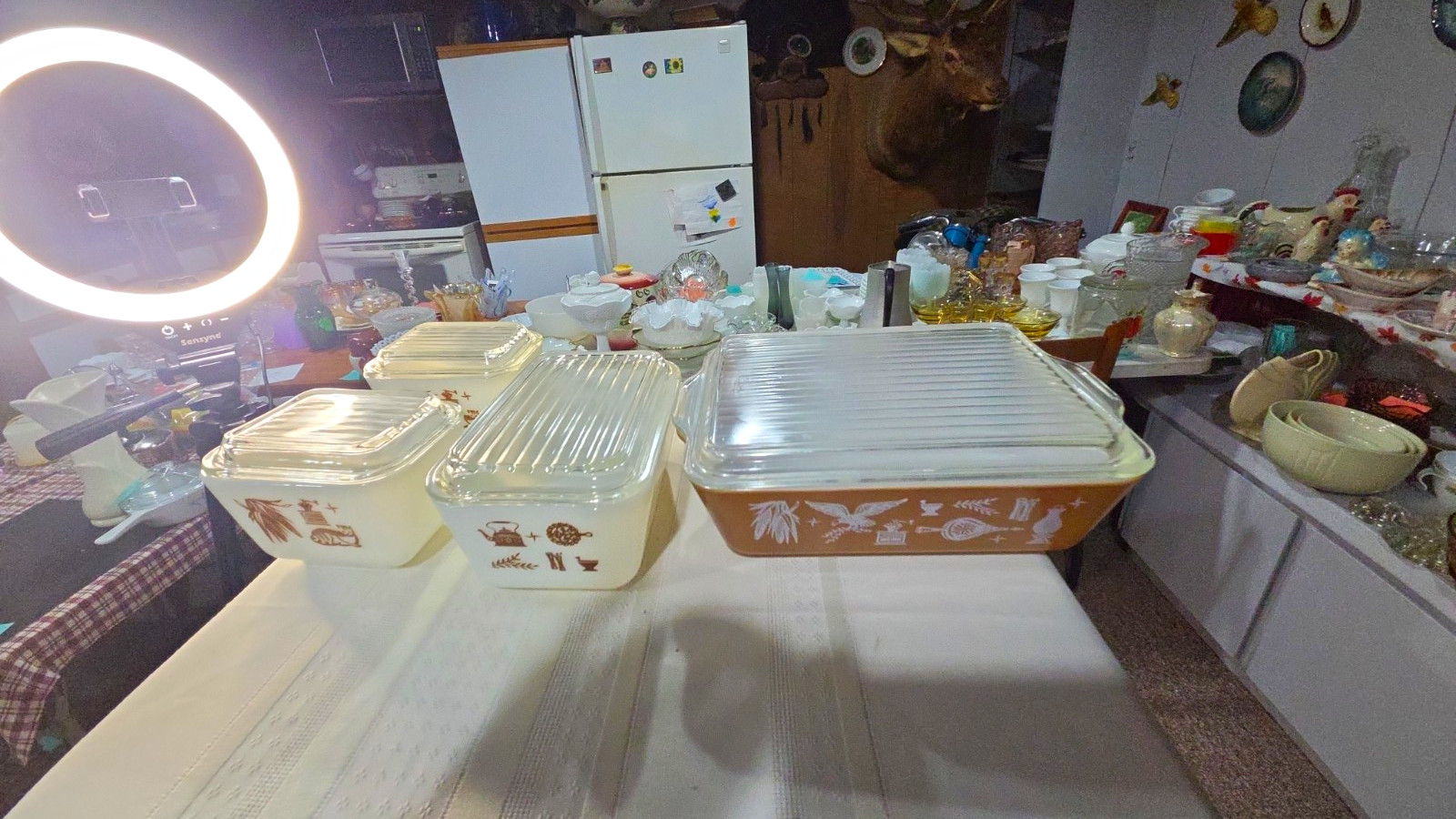 Pyrex Refrigerator Set, Early American