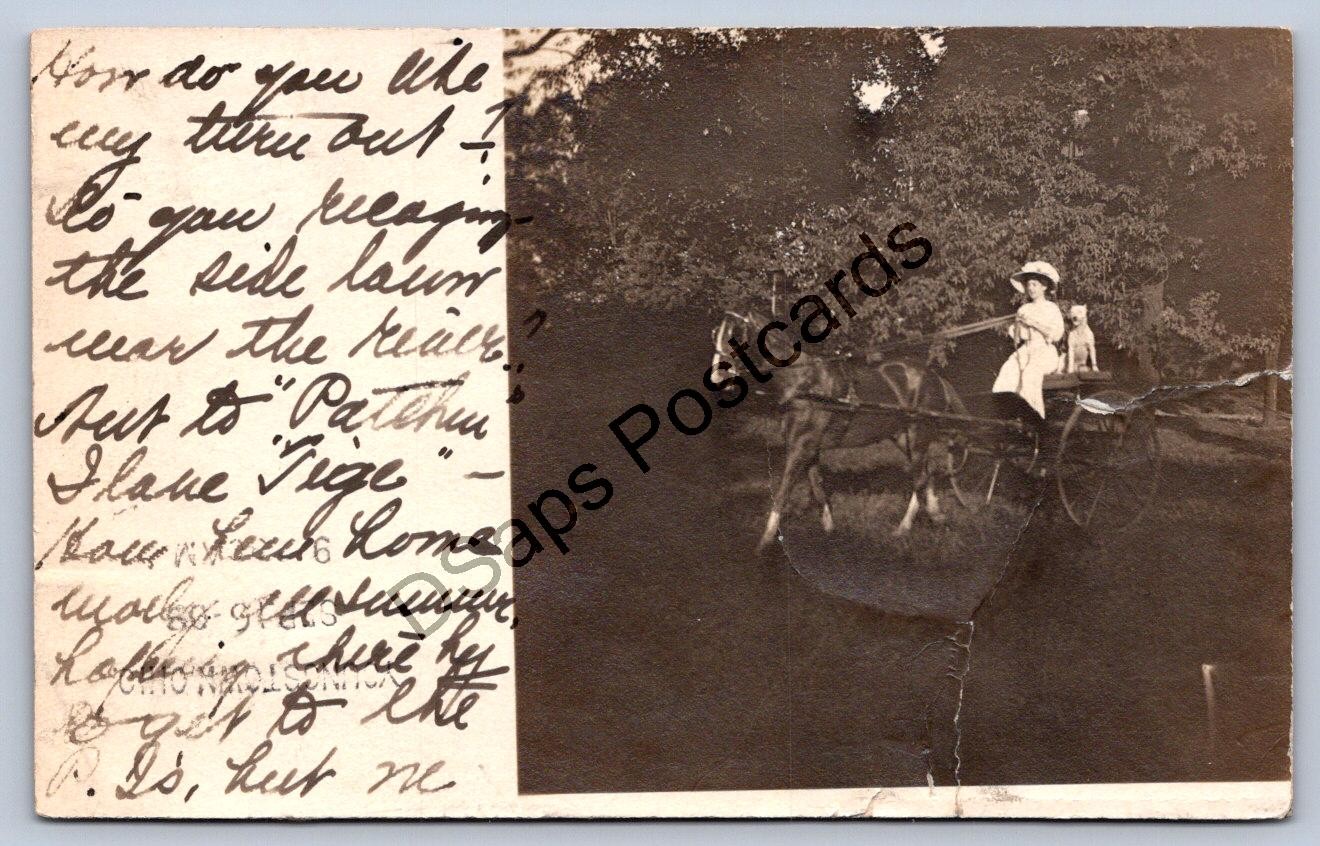 K64/ Rome Georgia RPPC Postcard c1909 Woman Pet Dog Horse Buggy  306
