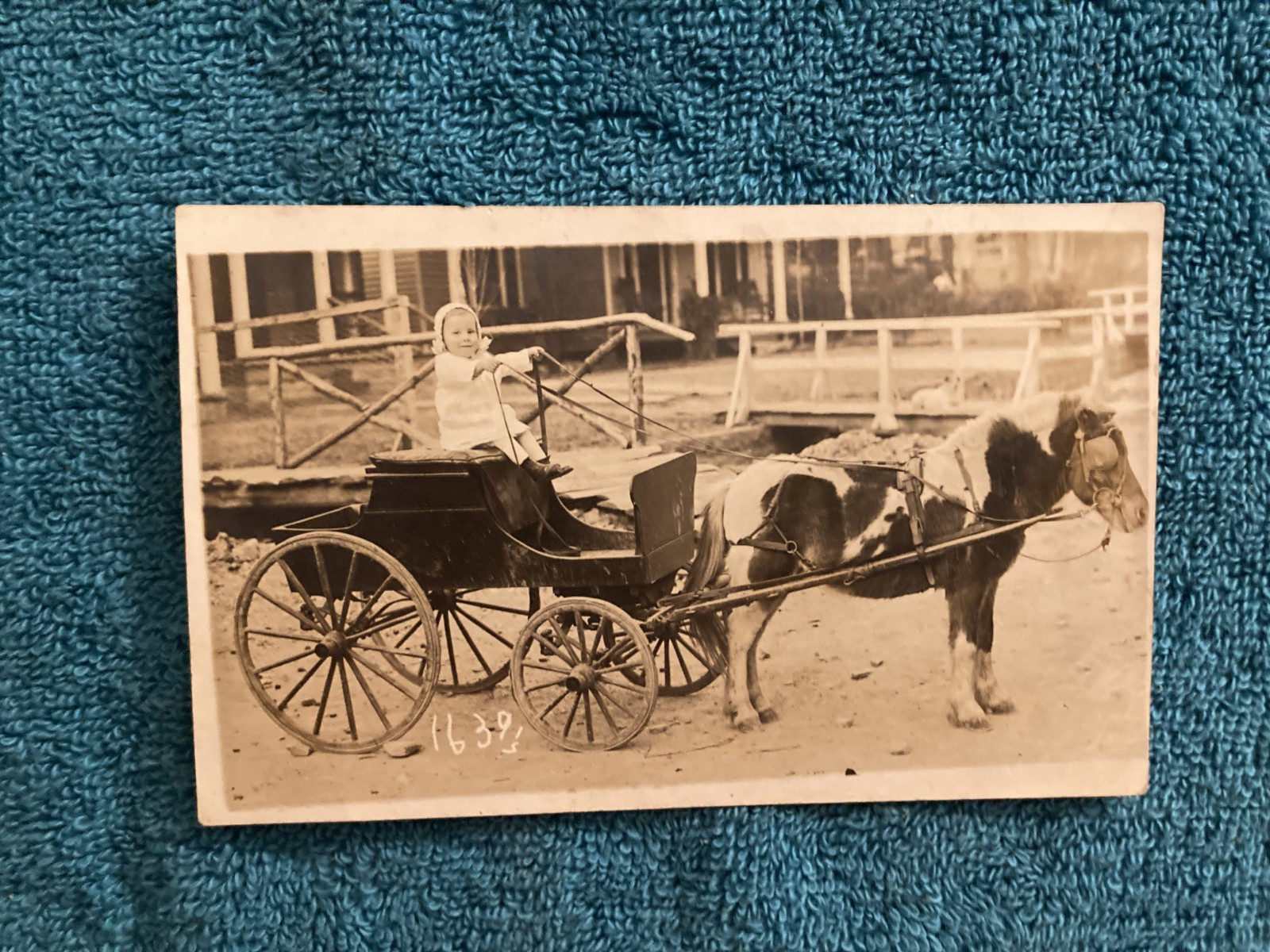 RPPC Little Girl Riding Horse & Wagon Possible Carlty Fraley 1914 Named on Back