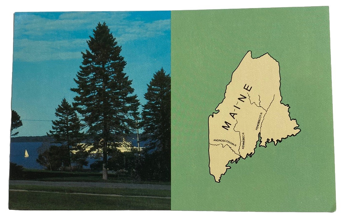 Pine Tree Post Card Club ~ Portland Maine ME ~ Vintage 1980s Postcard Pine Tree Post Card Club ~ Portland Maine ME ~ Vintage 1980s Postcard