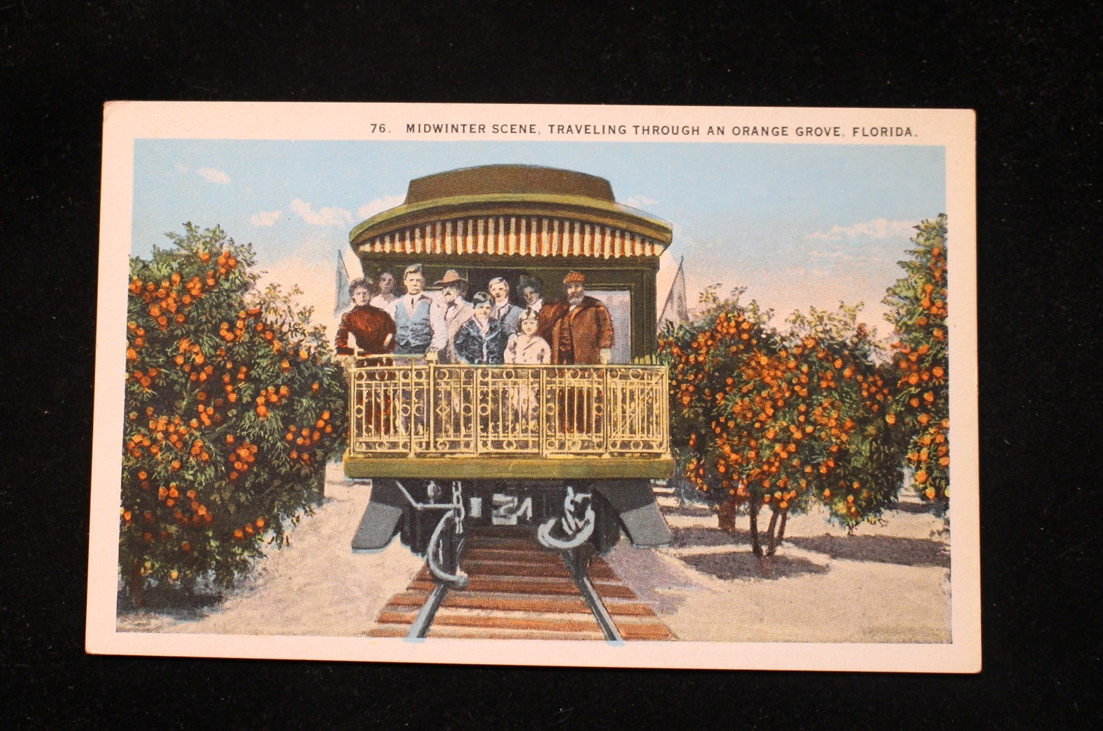 VTG POSTCARD MIDWINTER SCENE TRAVELING THROUGH AN ORANGE GROVE FLORIDA BY TRAIN