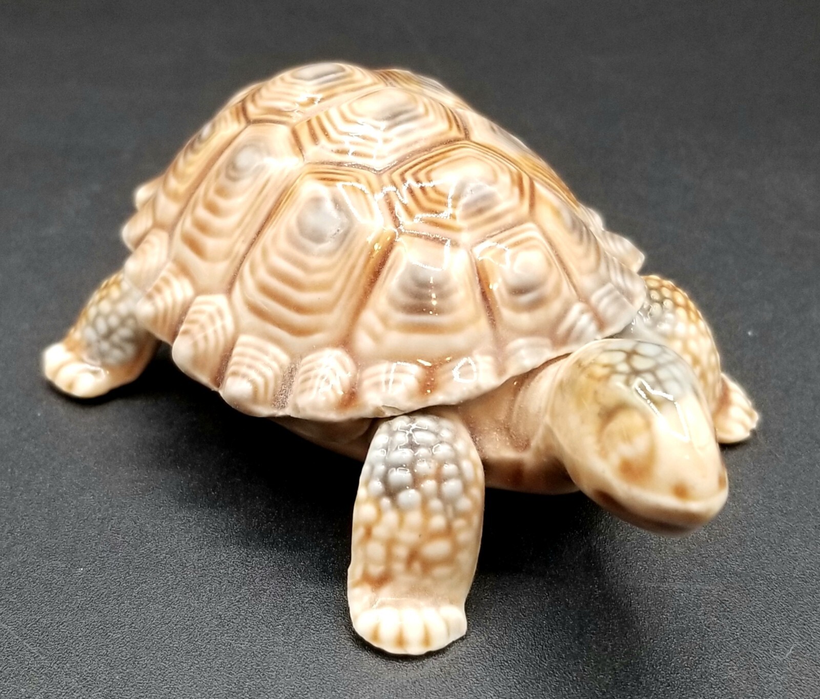 Vintage Wade Porcelain Tortoise Turtle Trinket Box Nature Figurine England
